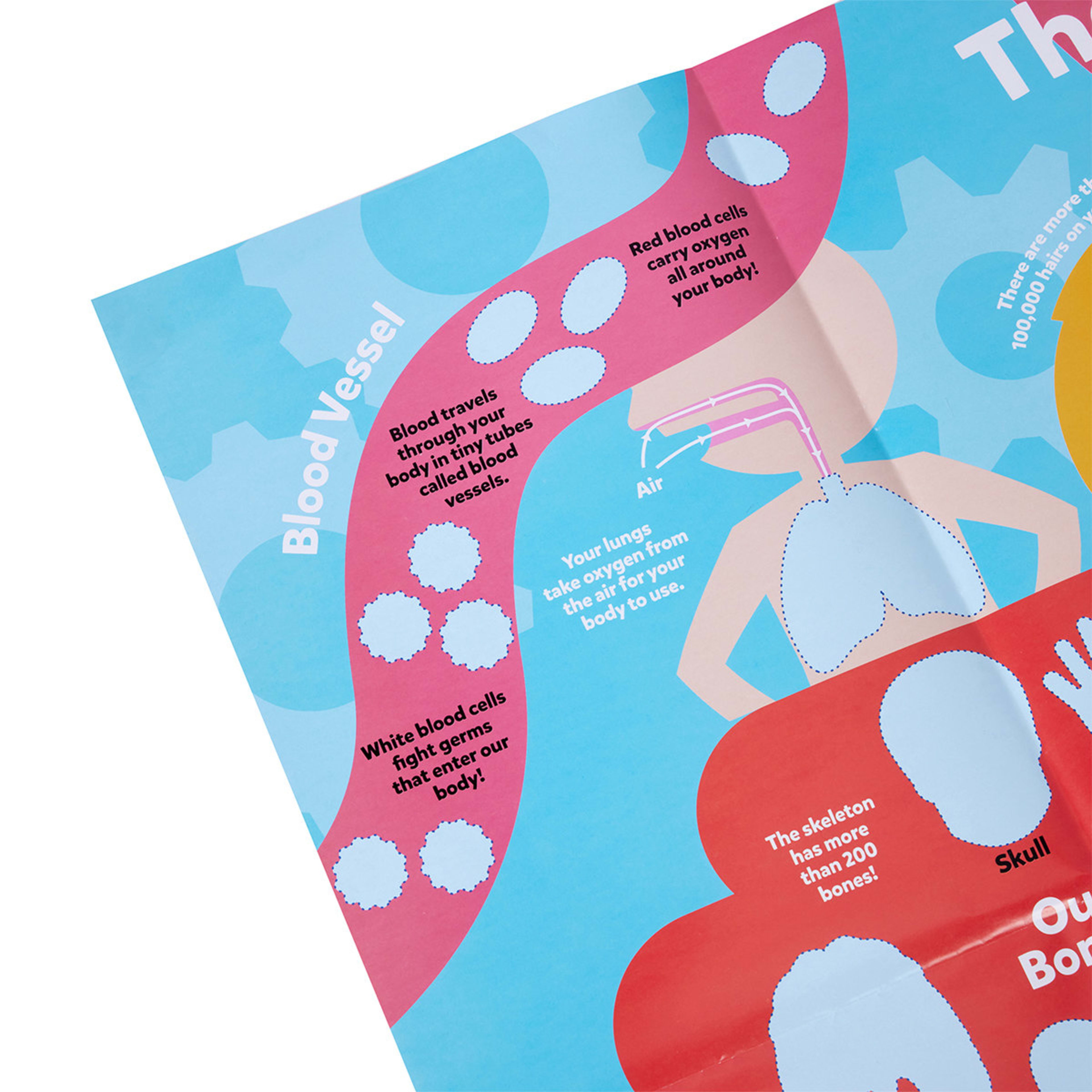 Learn About the Human Body Giant Educational Poster and Stickers Kmart