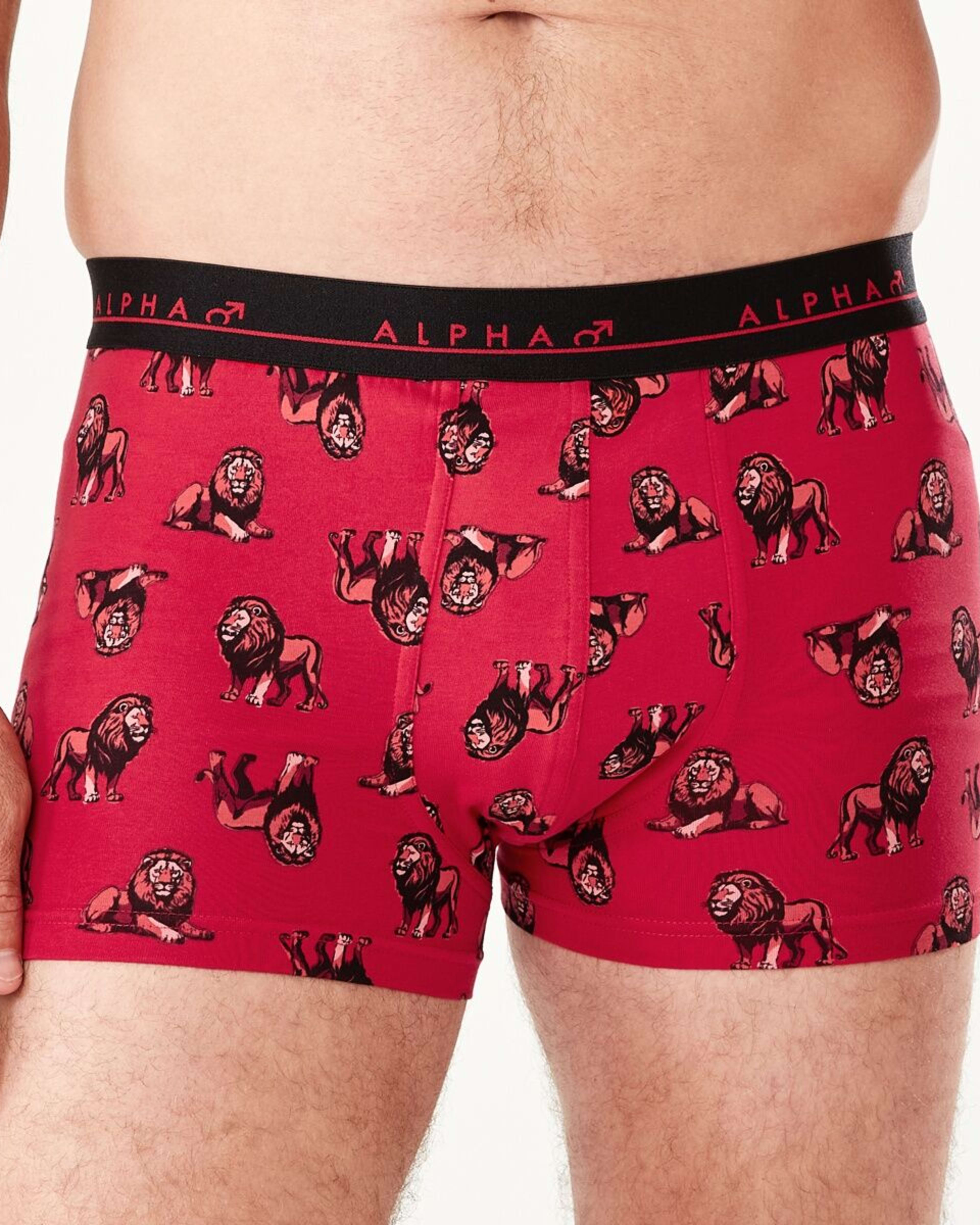 6 5 Pack Trunks BIG JUNGLE ANIMALS, 6 of 10