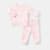 Pink Minnie
