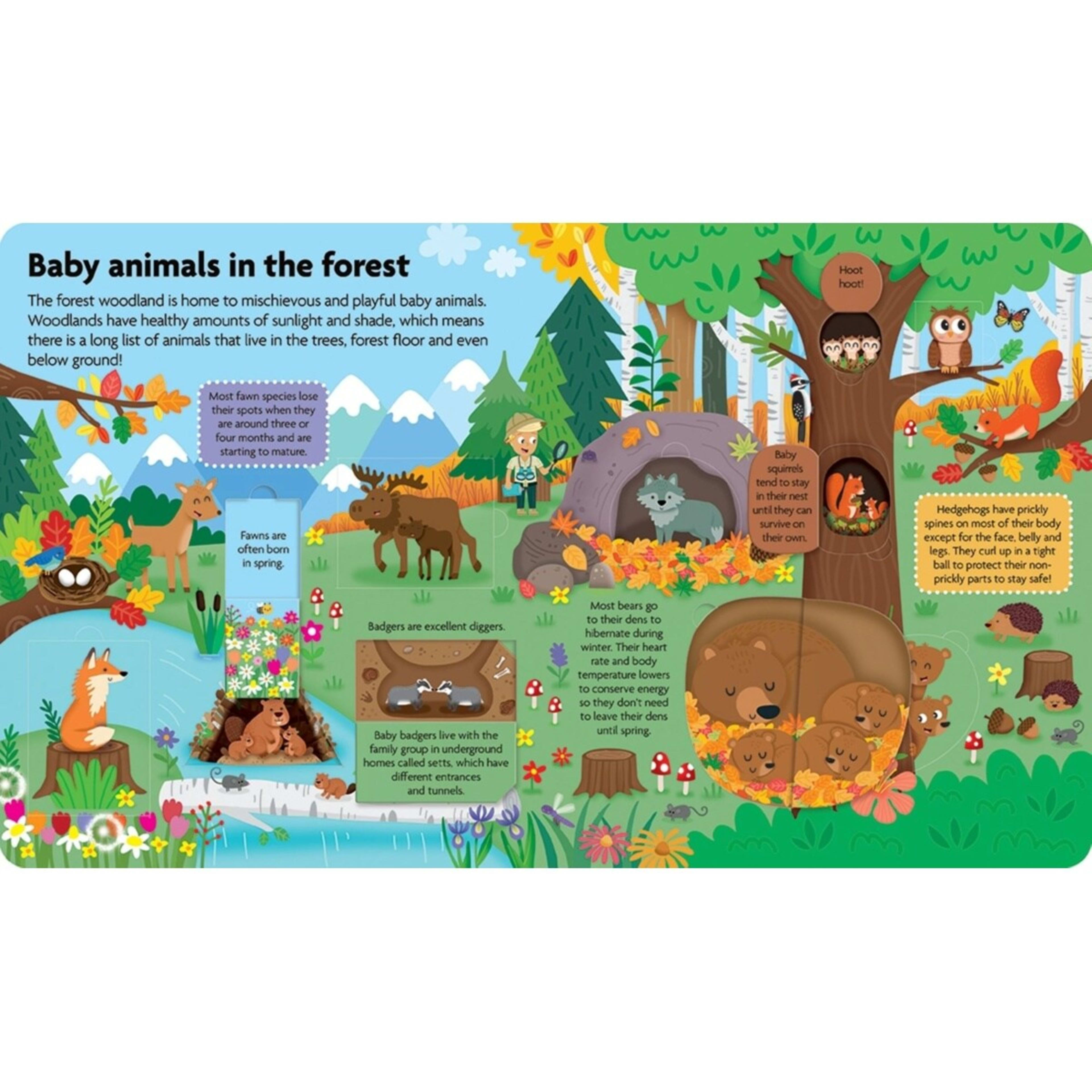 3 All About Baby Animals - Book, 3 of 3
