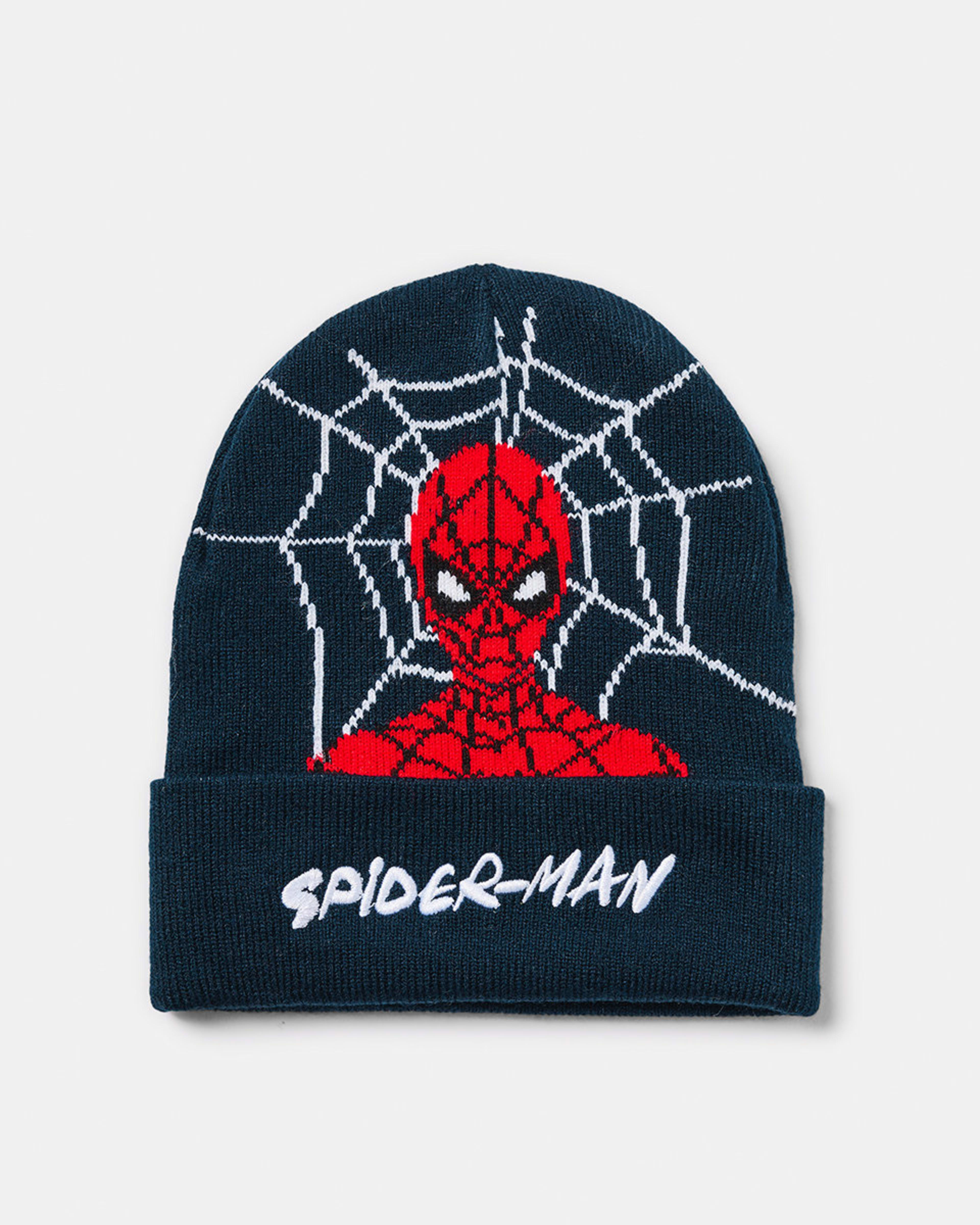 SpiderMan License Beanie Kmart