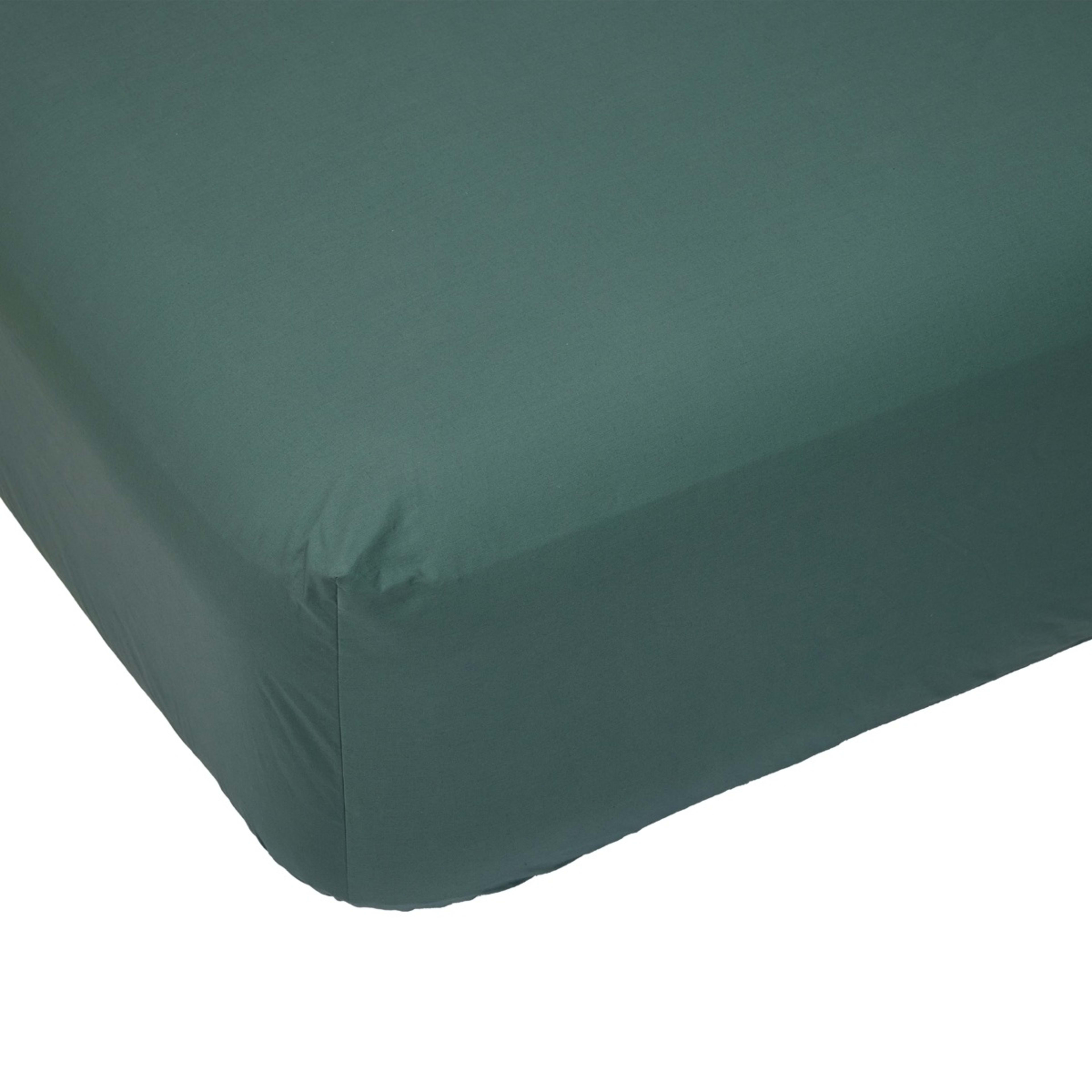 1 250 Thread Count Cotton Rich Fitted Sheet - Single Bed, Teal