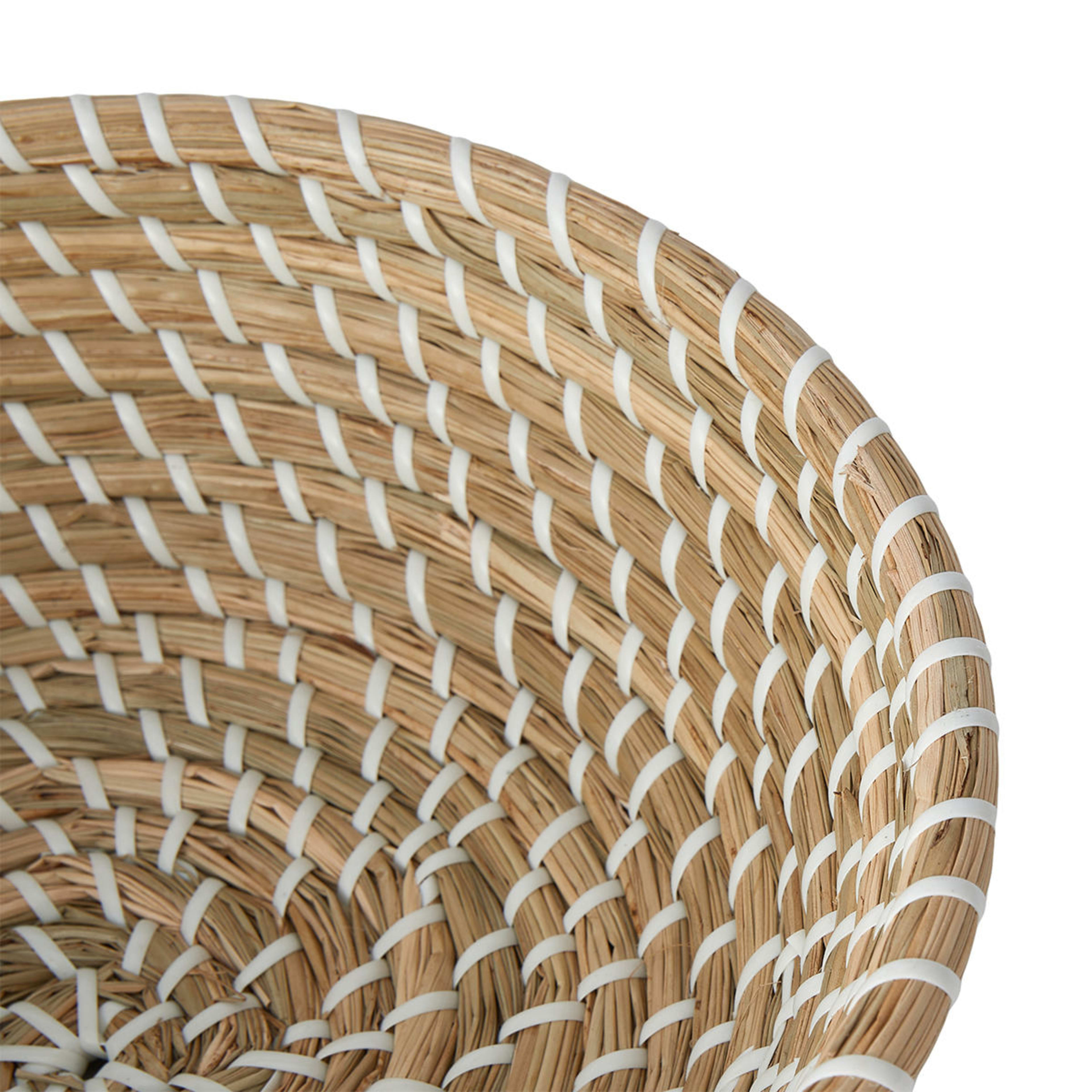 White Coil Fruit Bowl Kmart NZ