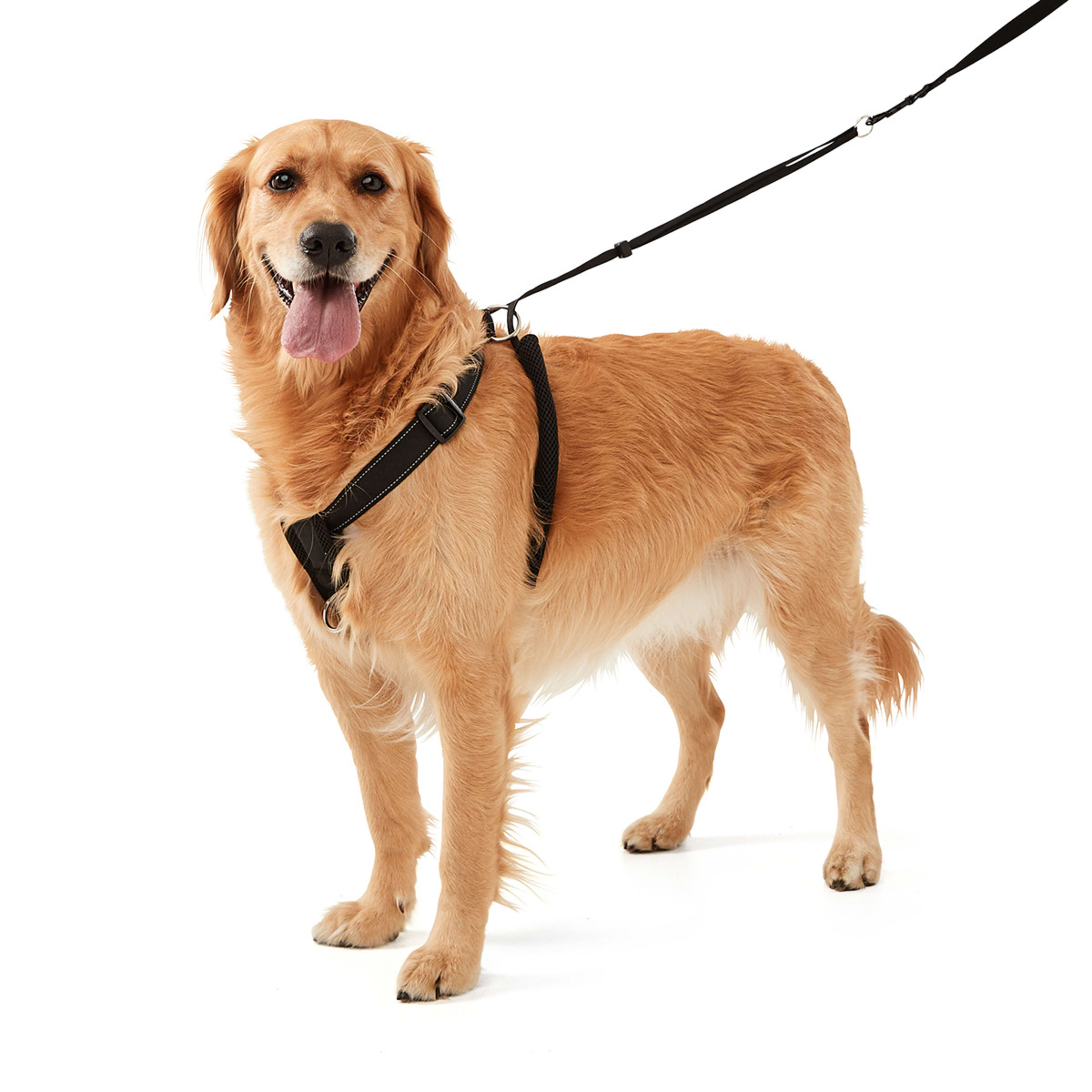 Dog No Pull Harness - Extra Large, Black - Kmart