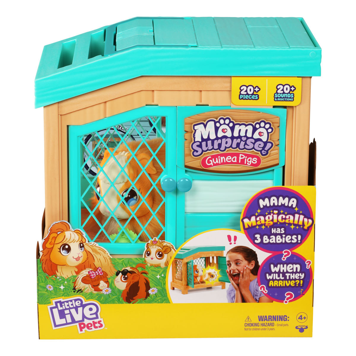 Little live on sale pets kmart