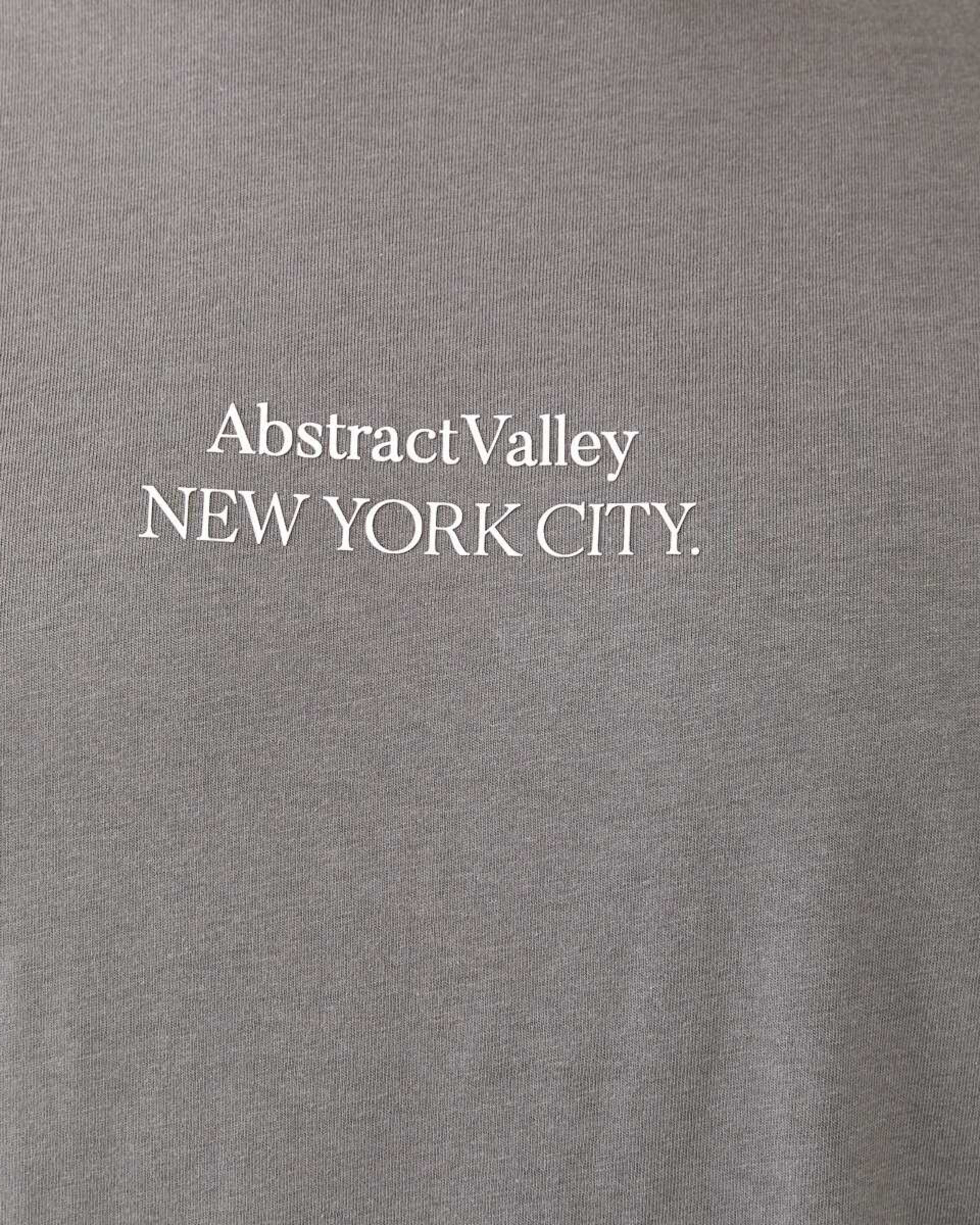 5 Print T-shirt Gry Grgyle, 5 of 5