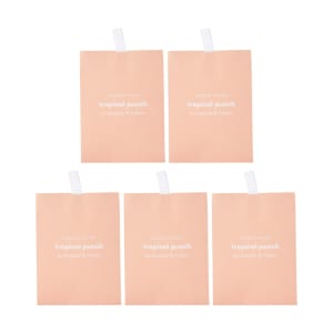 5 Piece Vanilla Cream Scented Sachets - Caramel and Vanilla