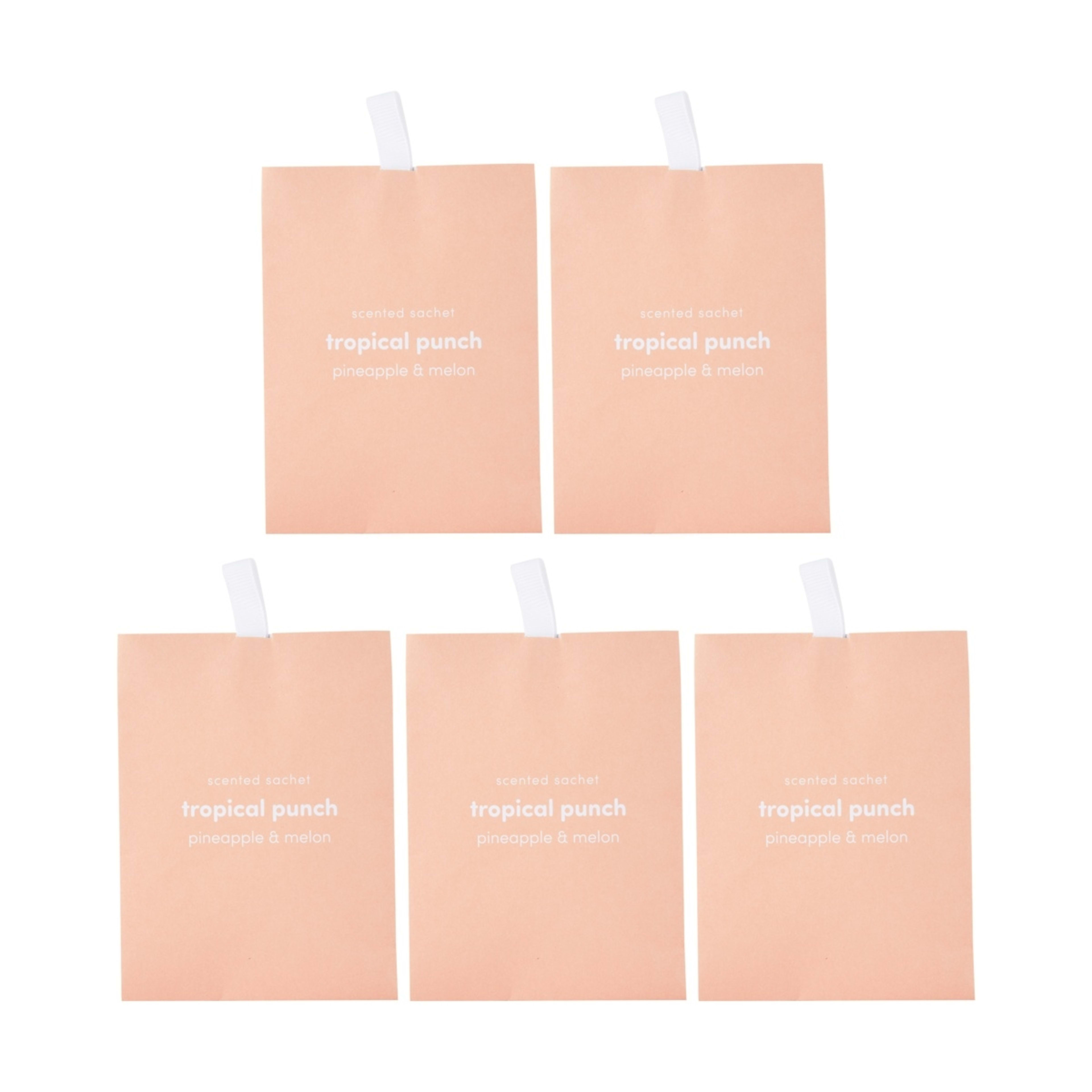 1 5 Piece Tropical Punch Scented Sachets - Pineapple and Melon