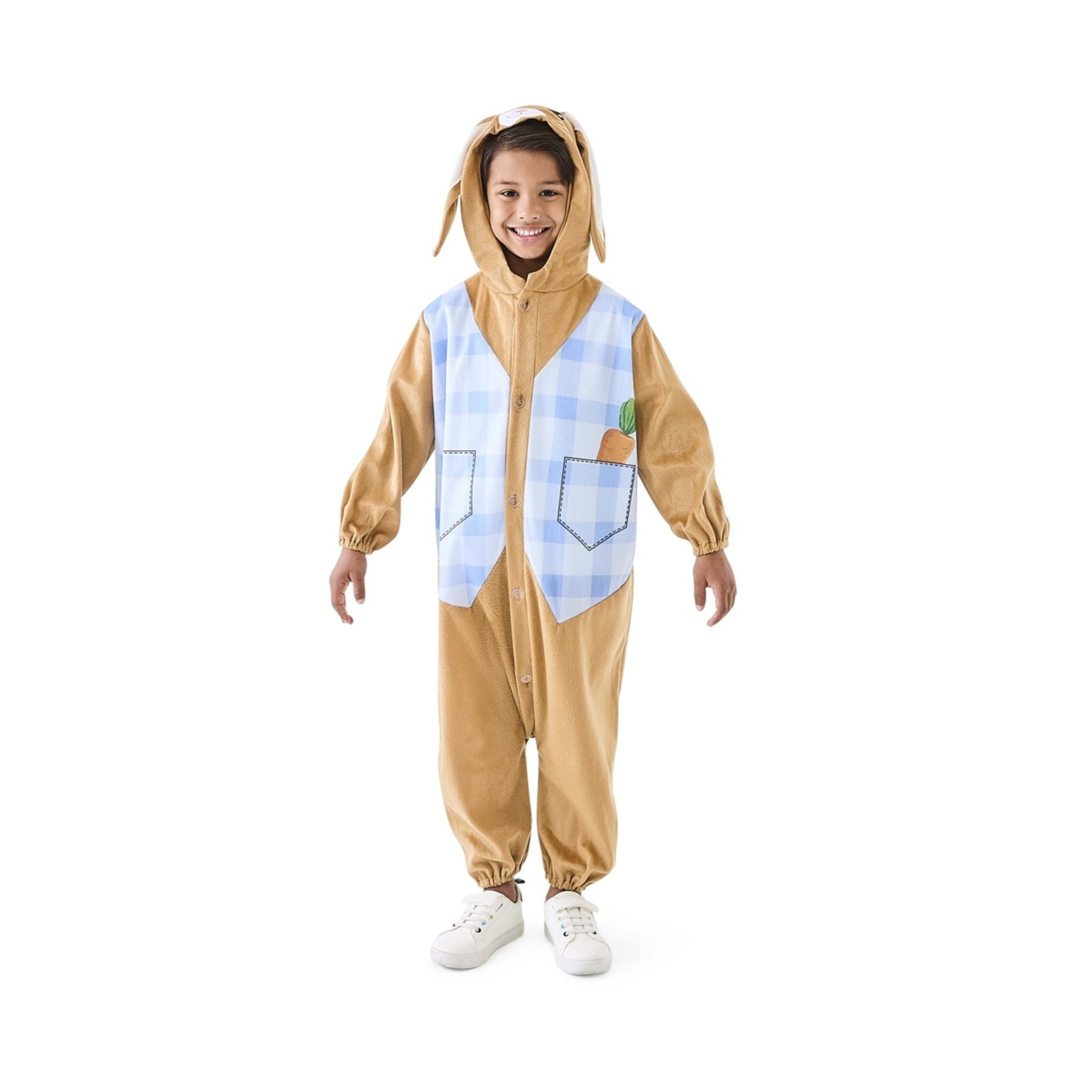 2 Easter Brown Bunny Costume - Ages 4-6 years, 2 of 10