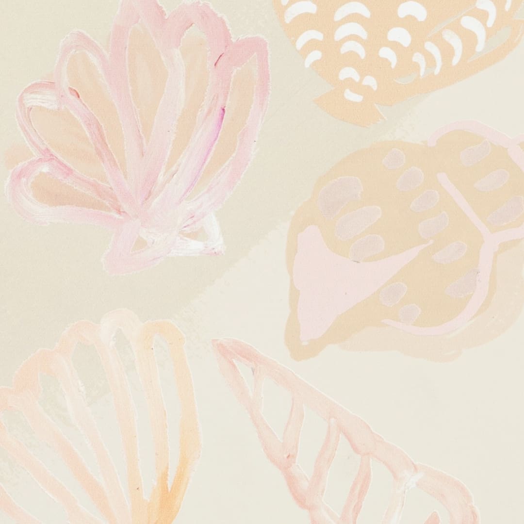 Sea Shells Framed Canvas Kmart