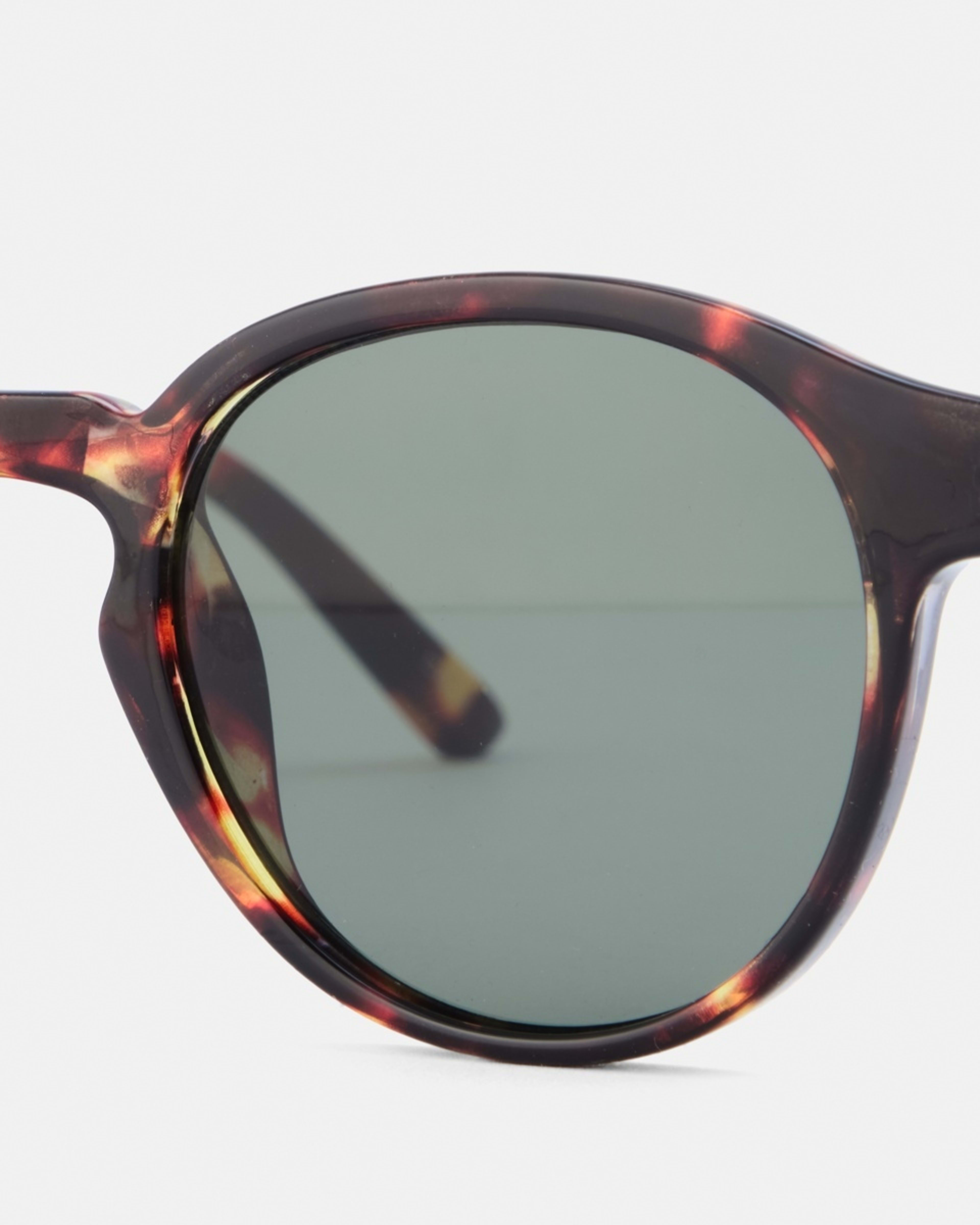 4 Clear Frame Sunglasses BROWN, 4 of 6