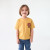 SMALL LION FACE YELLOW OCHRE