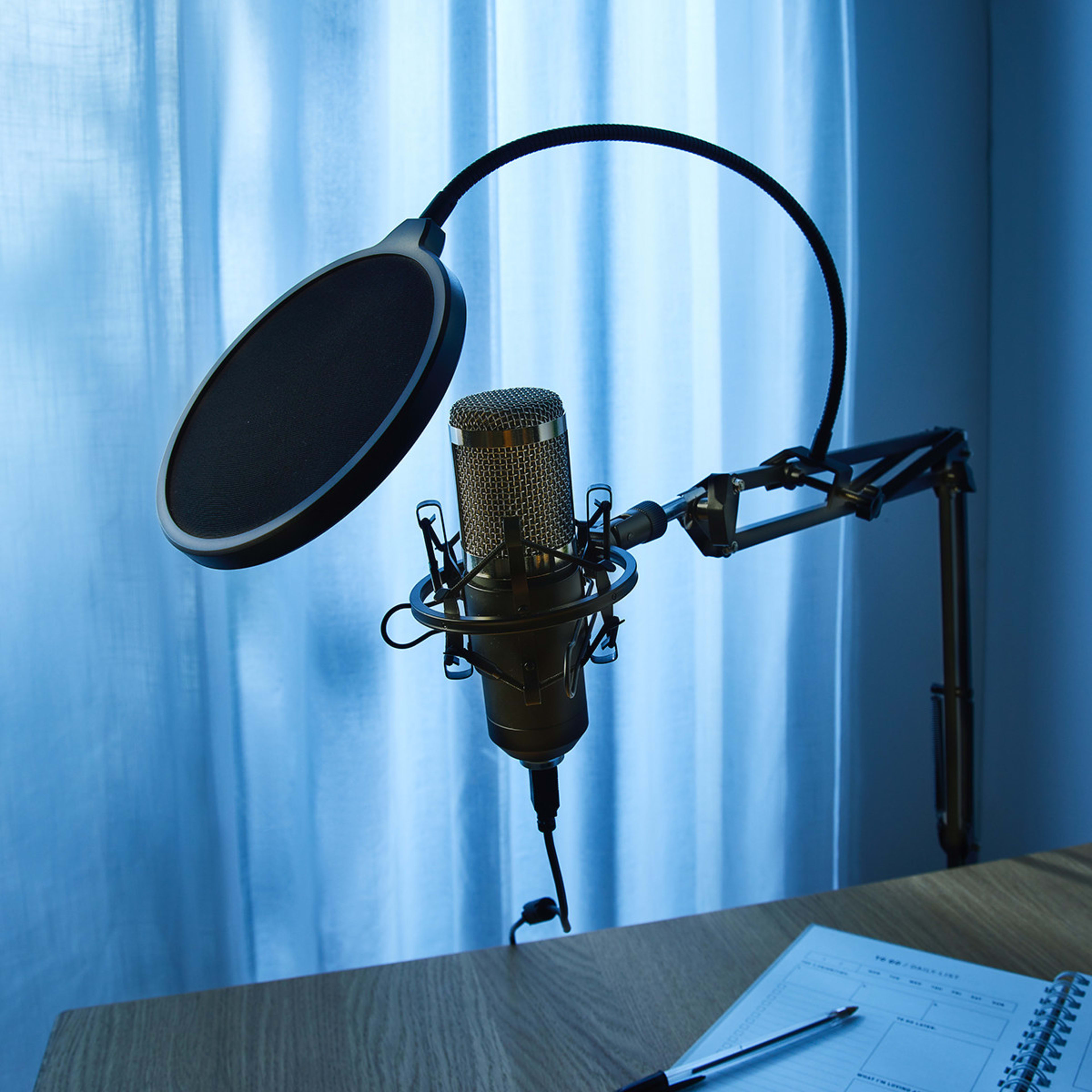 Professional Gaming Microphone Kmart