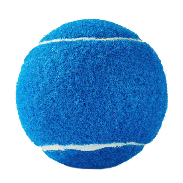 6 Pack Tennis Ball Kmart NZ