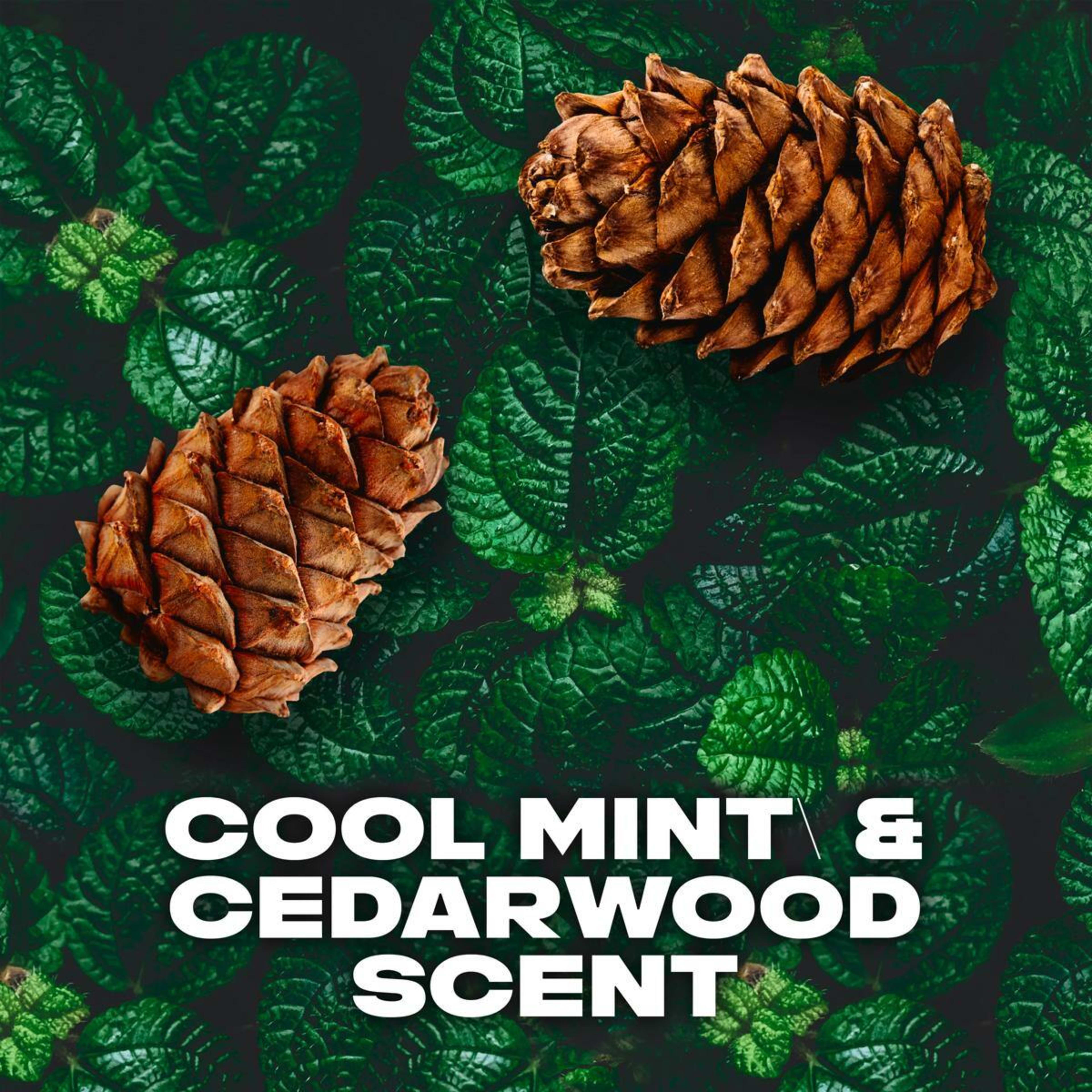 3 LYNX Black Night Deodorant Bodyspray, 3 of 7