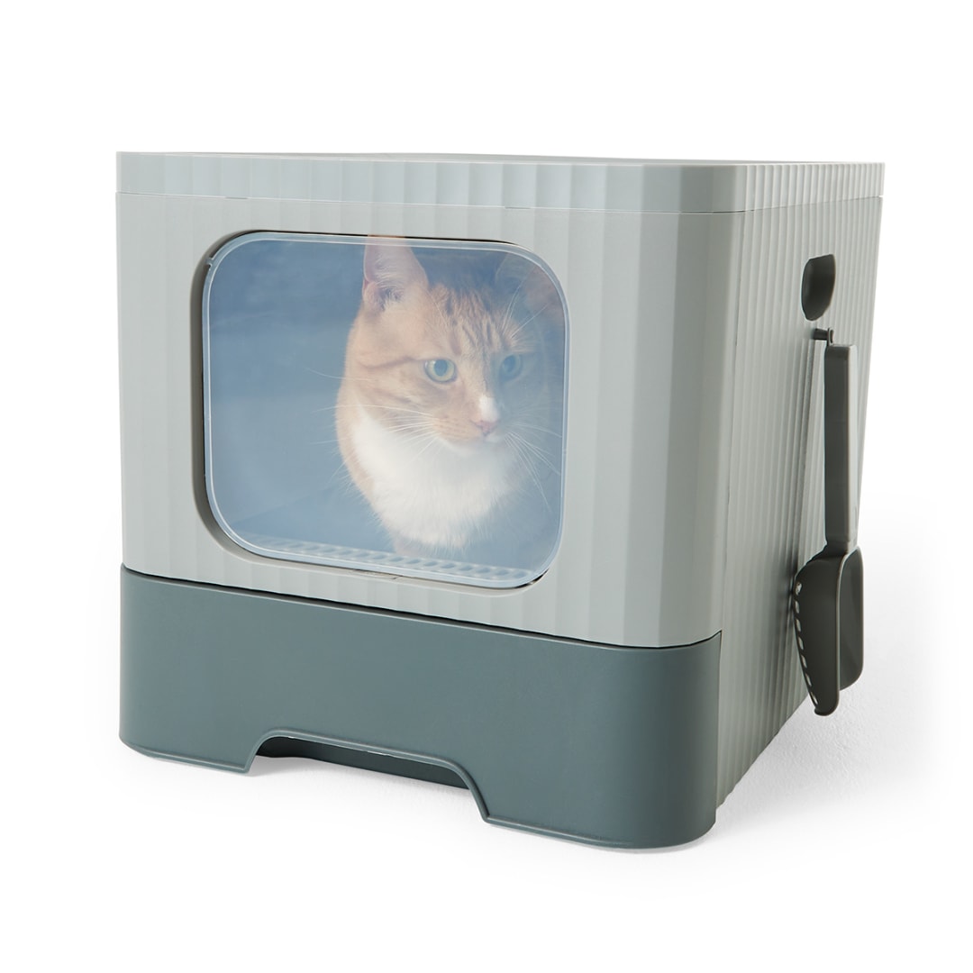 Cat Litter Box Dual Entry Kmart