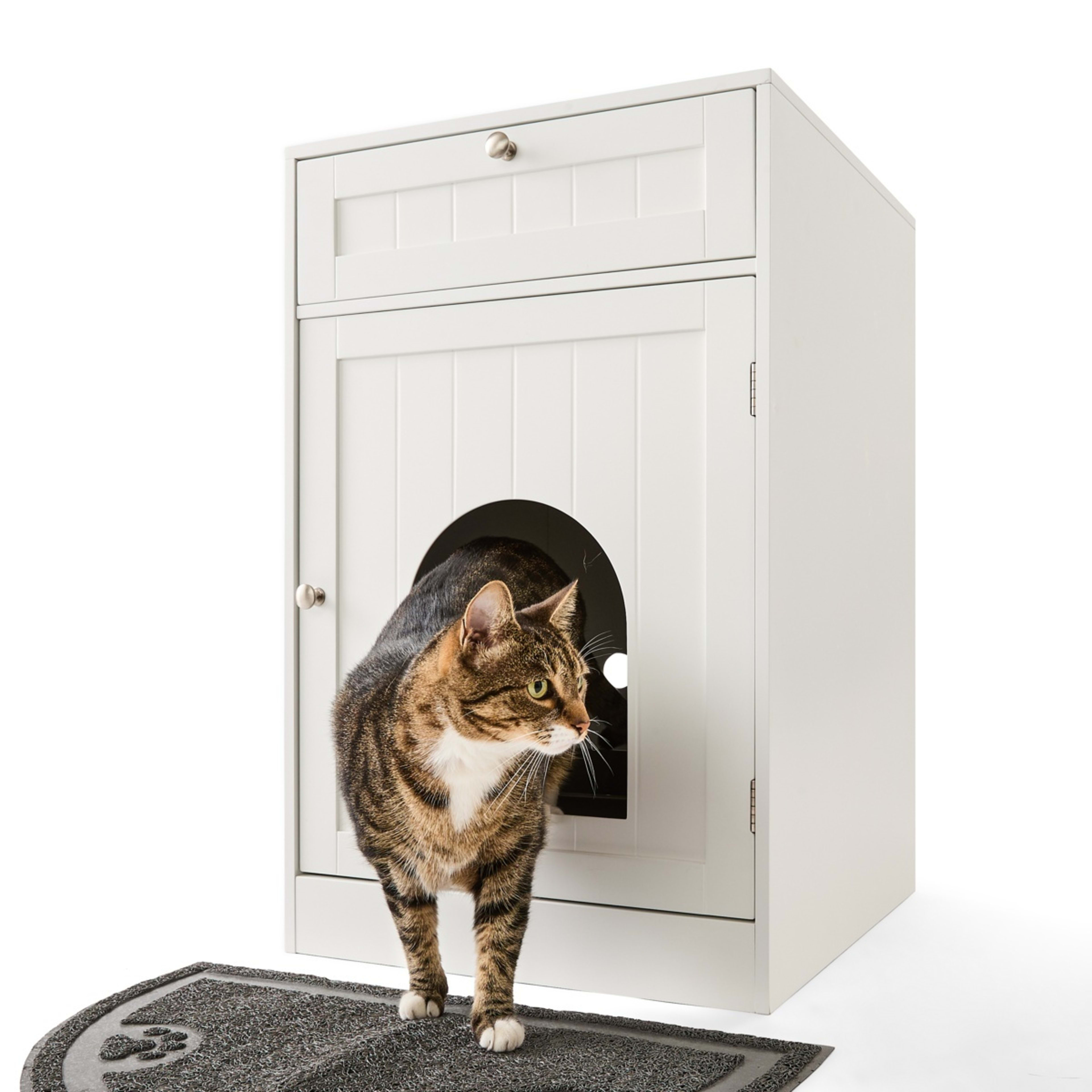 1 Cat Litter Cabinet with Storage Drawer