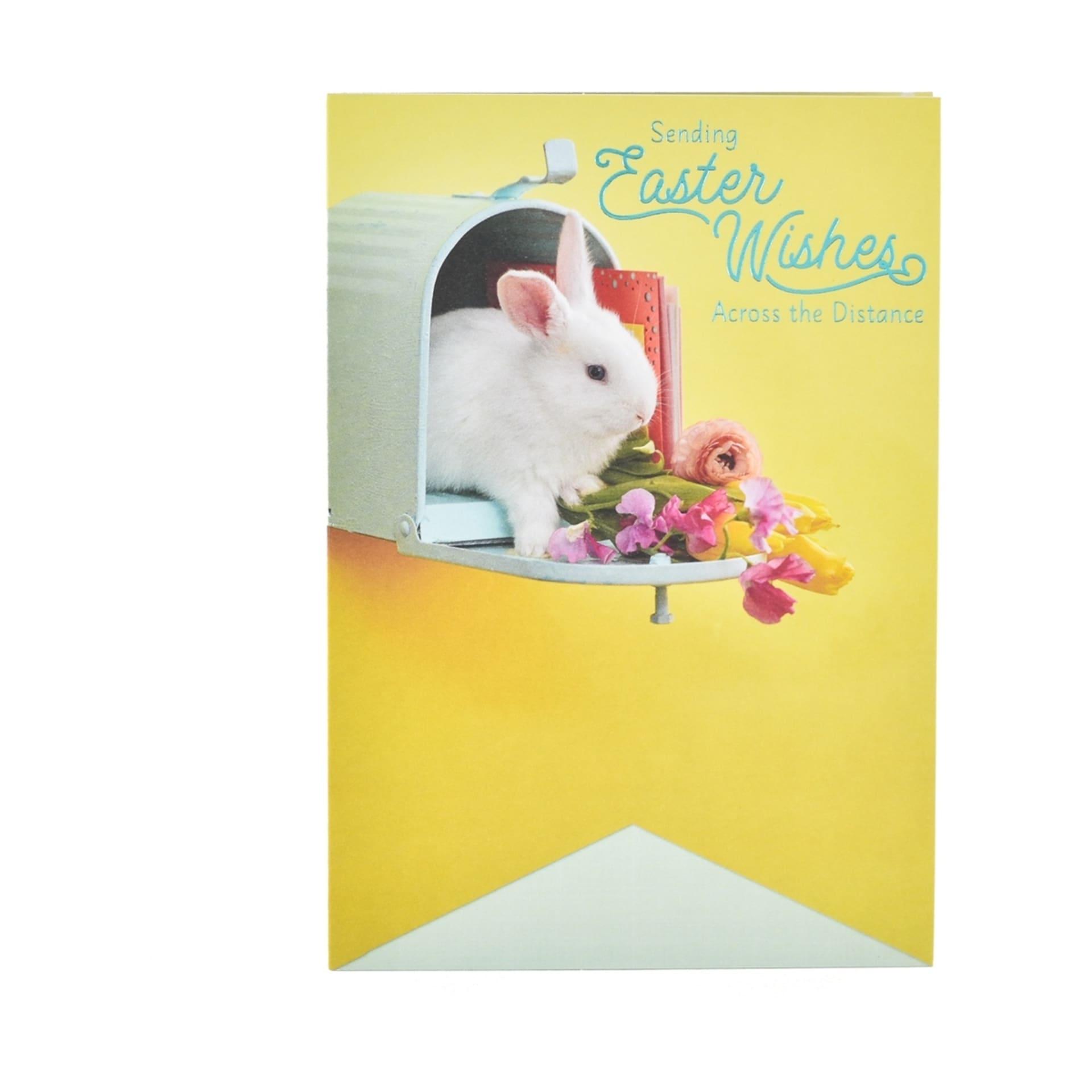 Hallmark Easter Card Across The Miles Bunny Kmart