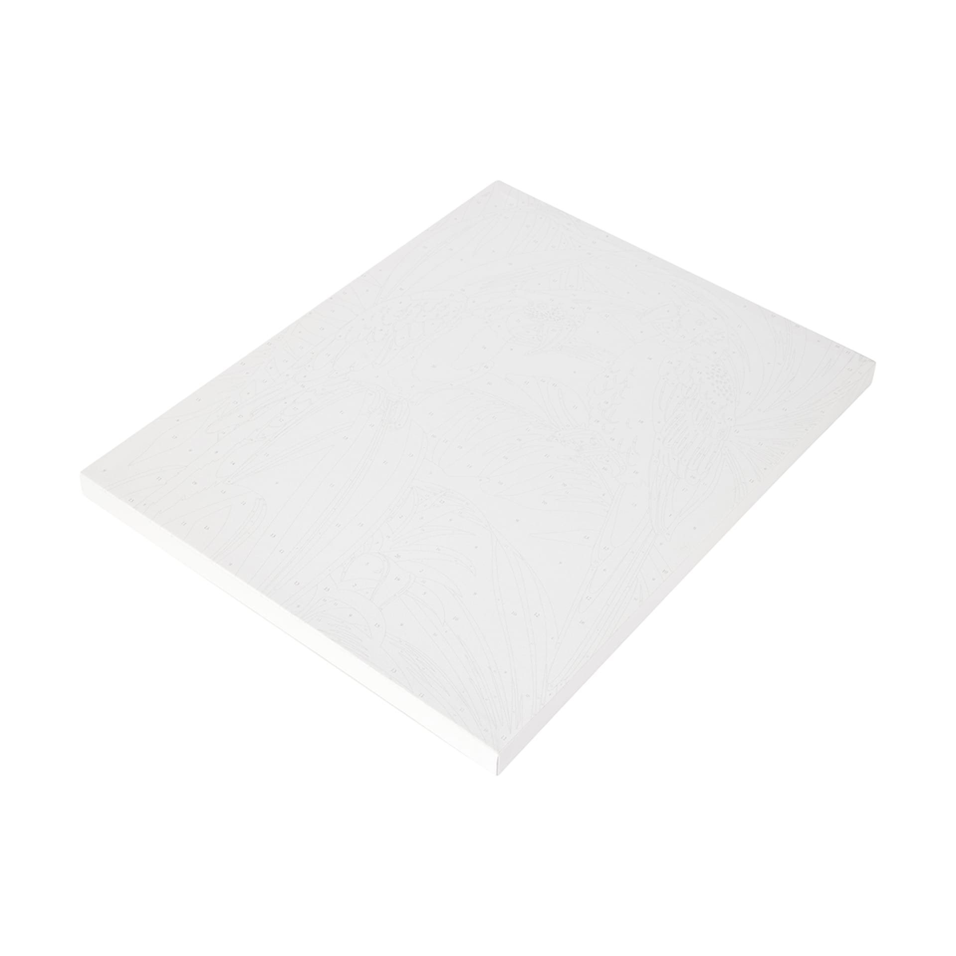 Paint By Numbers Parrots Kmart