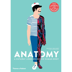 Anatomy: A Cutaway Look Inside the Human Body by Helene Druvert & Jean ...