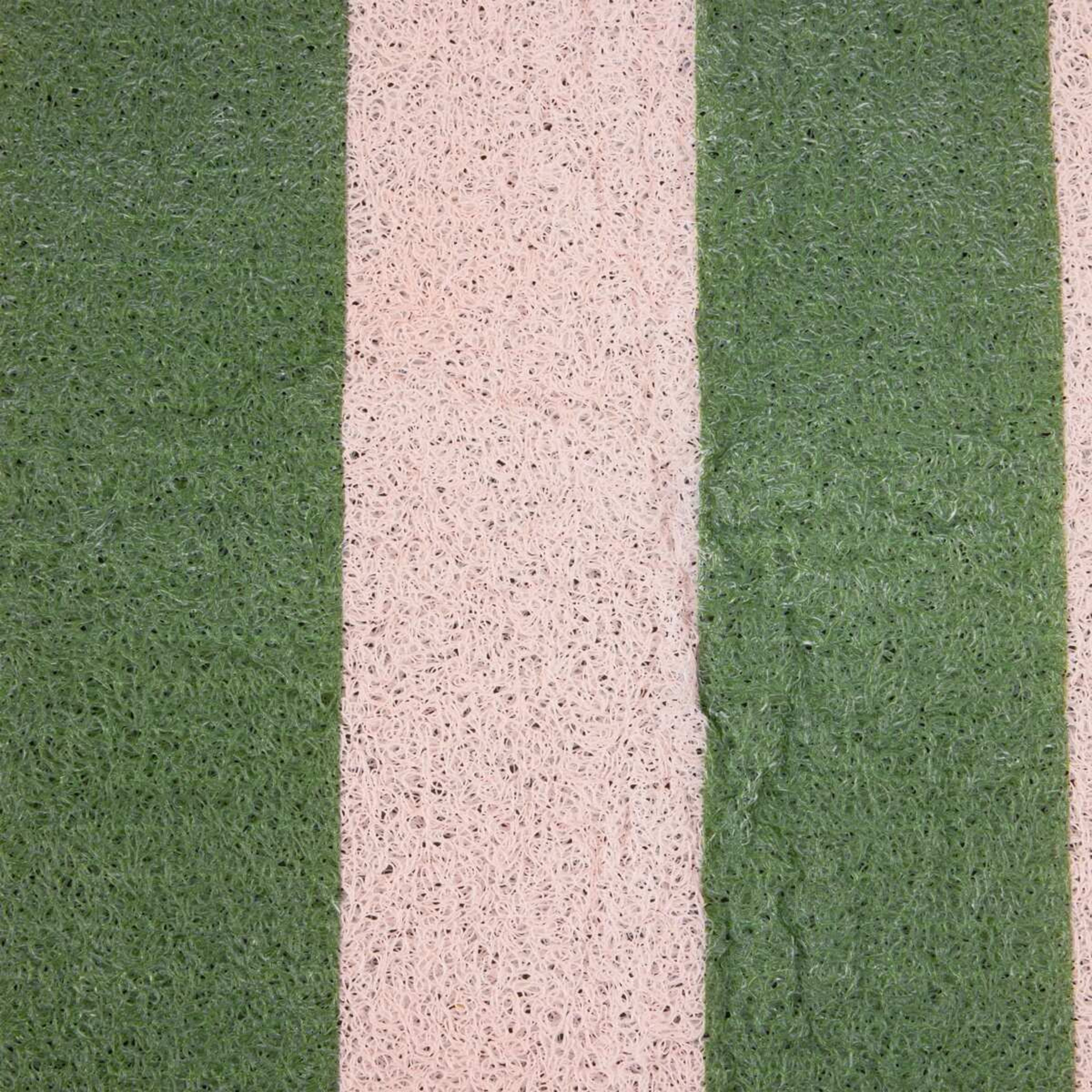 4 Dirt Grip Door Mat - Green and Pink, 4 of 7