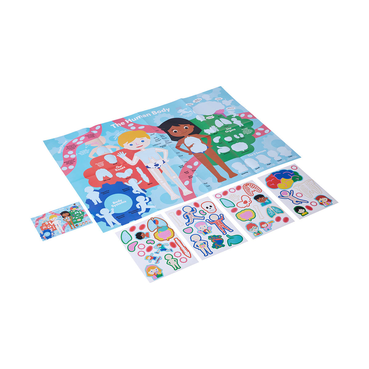 Learn About the Human Body Giant Educational Poster and Stickers Kmart