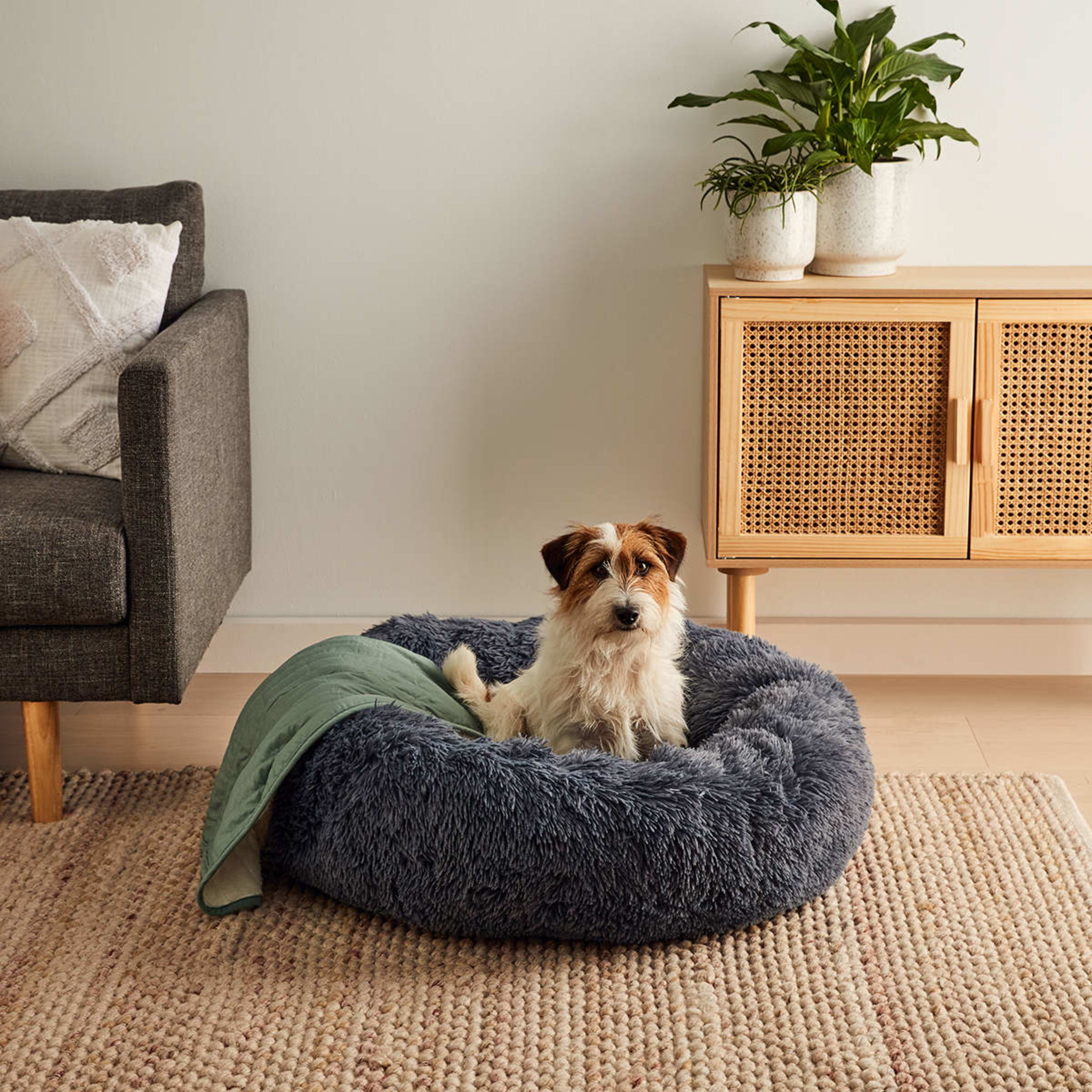 Pet Comfort Bed Large Kmart