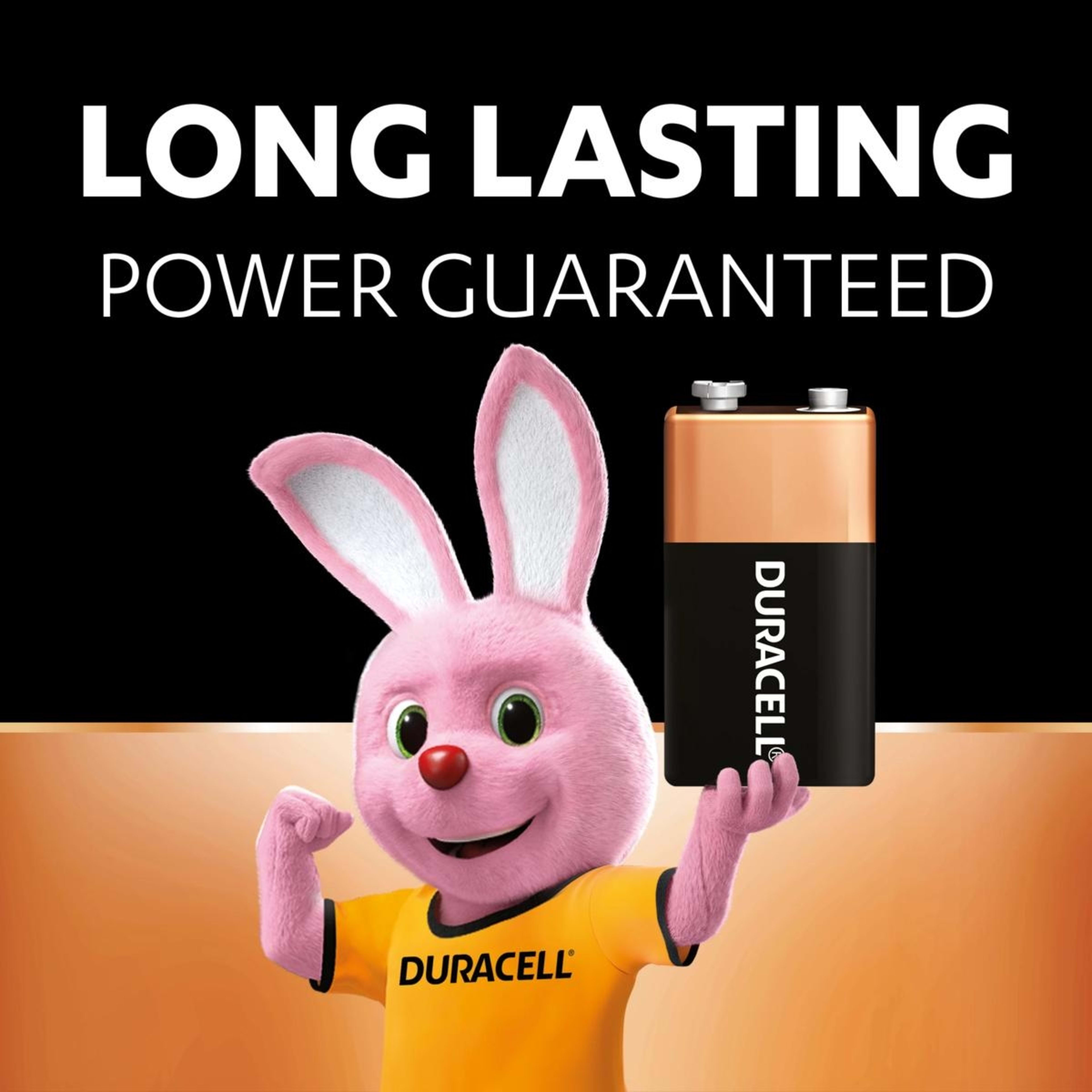 3 Duracell Coppertop 9V 2 Pack Batteries, 3 of 8