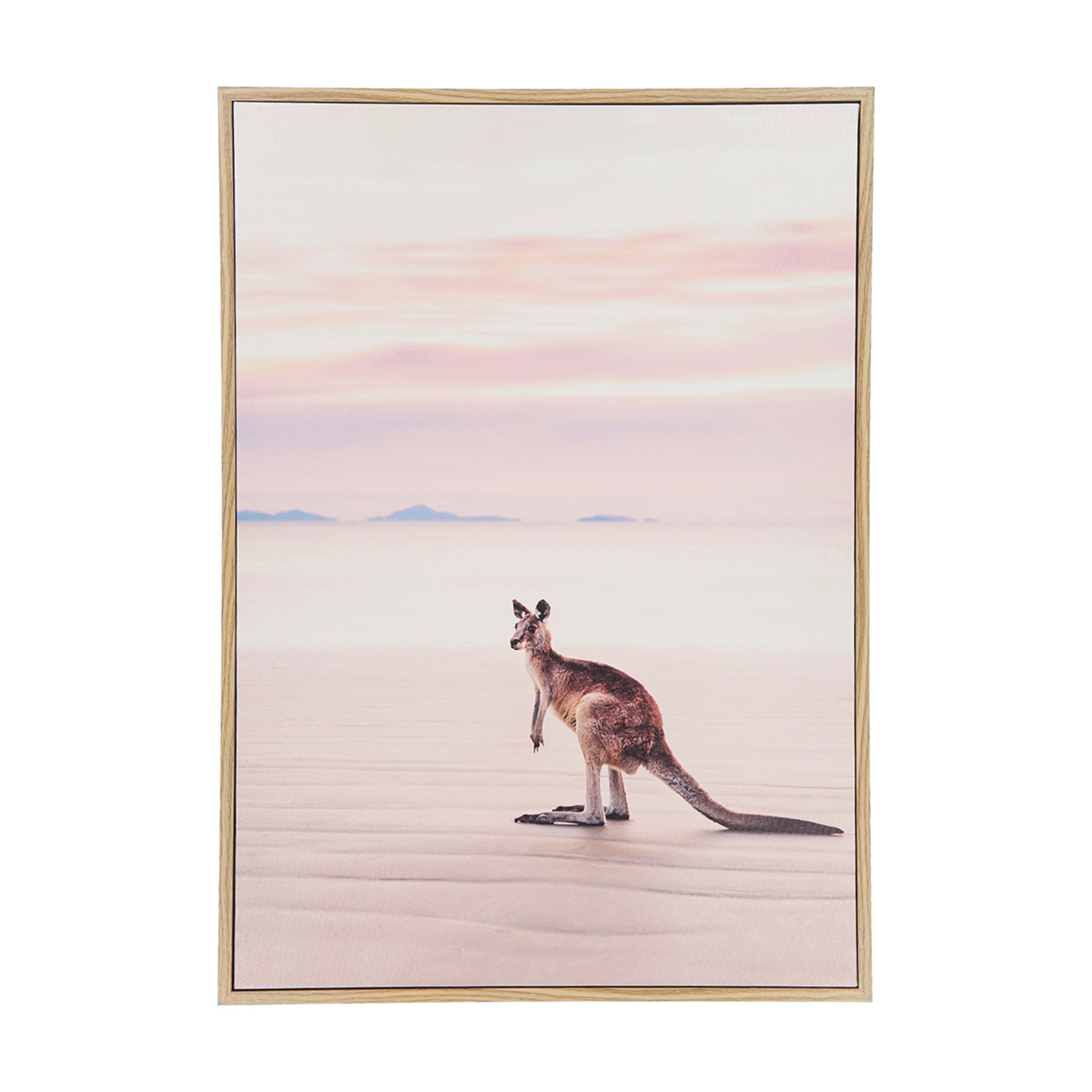 Kangaroo Framed Canvas Kmart