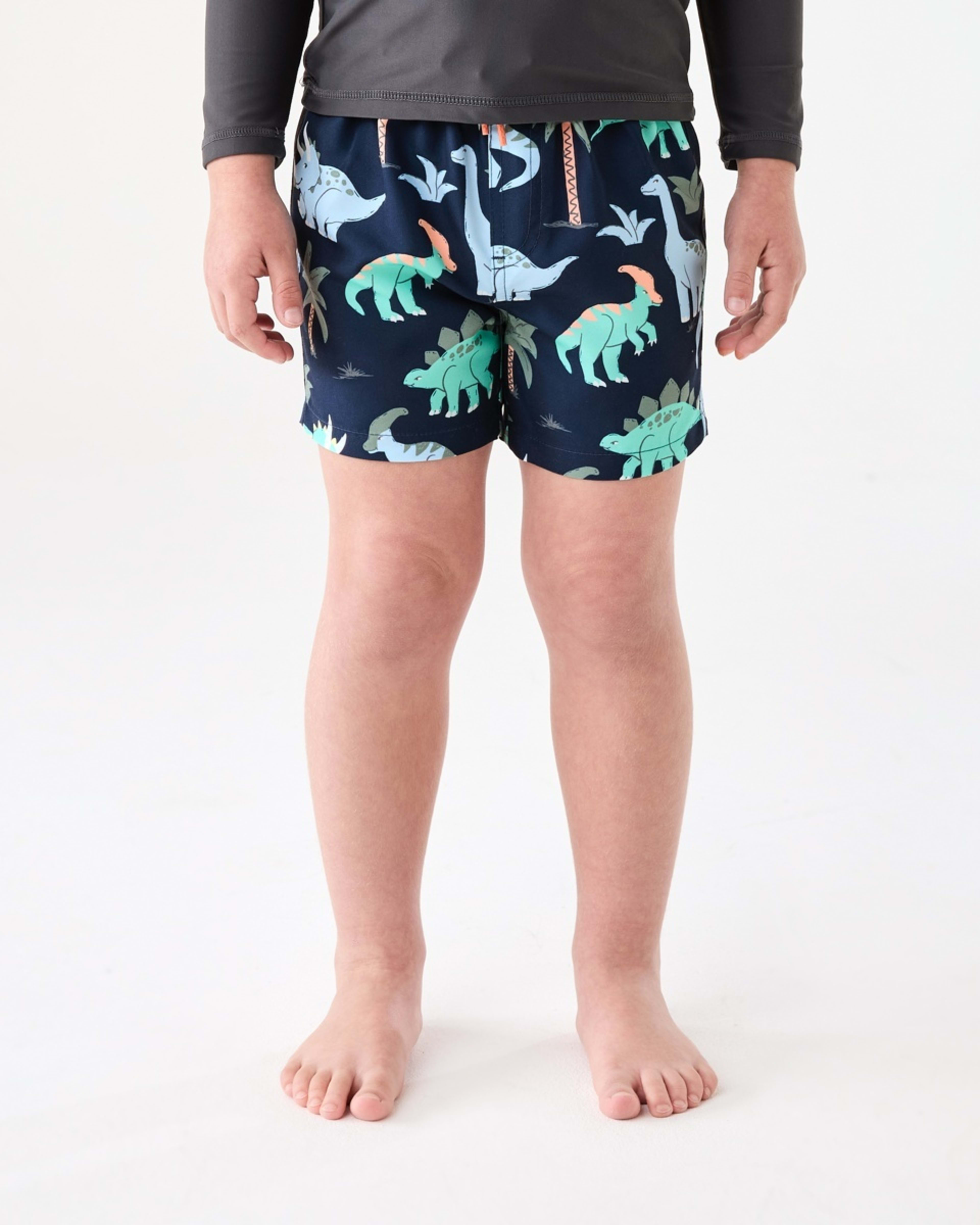 1 Printed Boardshorts DINO SCRIBBLE DRESS BLUE, 1 of 6