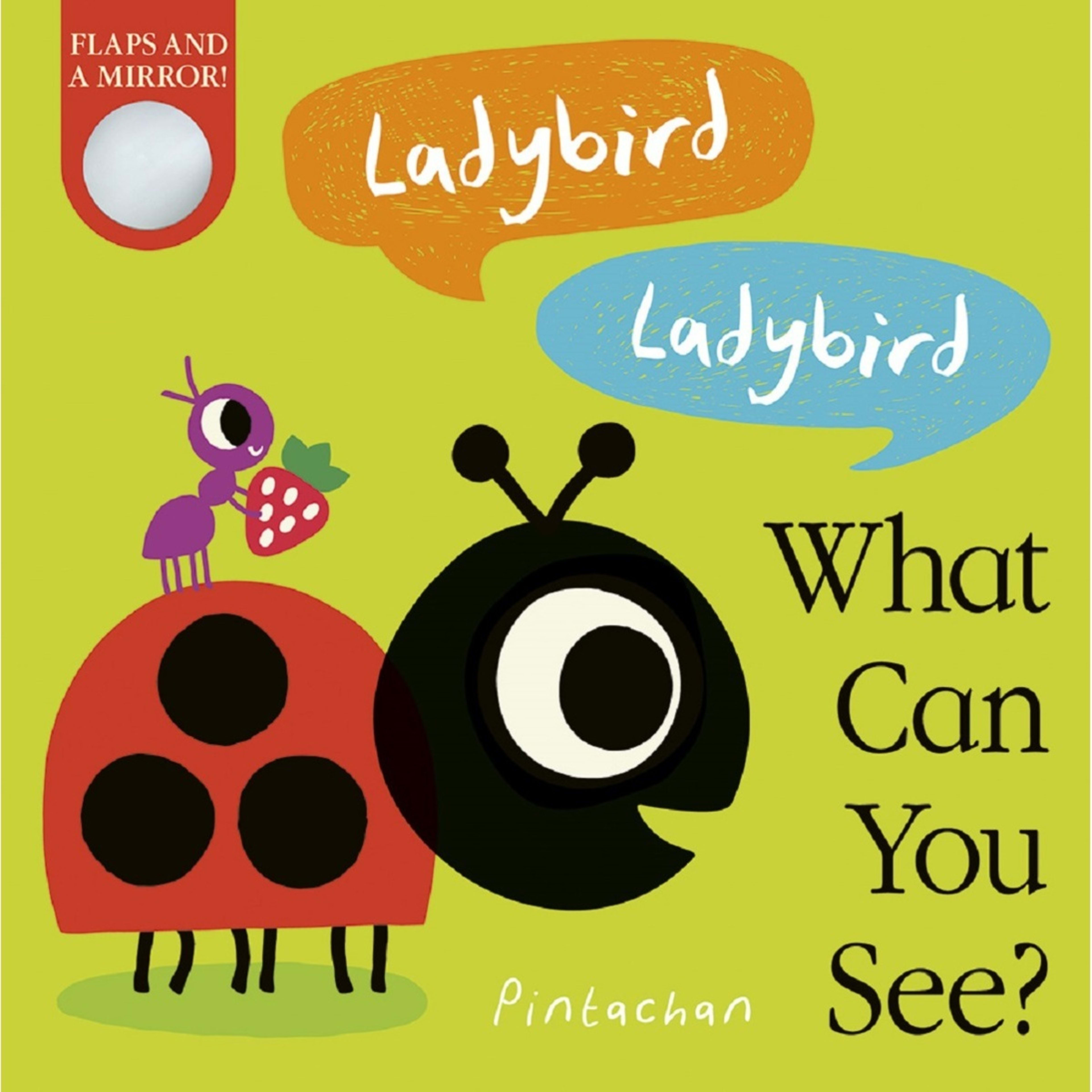1 Ladybird! Ladybird! What Can You See? by Amelia Hepworth - Book