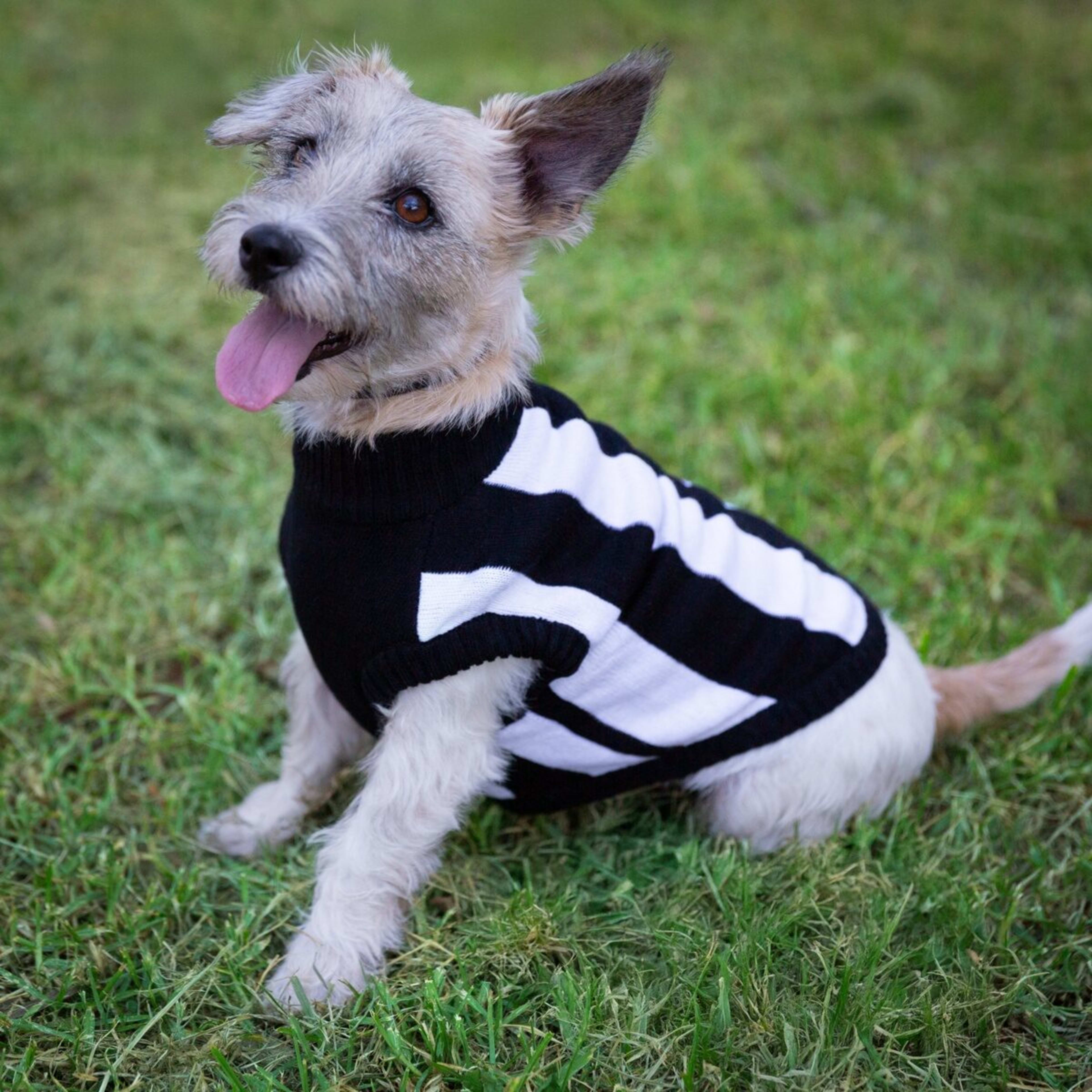 1 AFL Collingwood Magpies Pet Jumper - Small