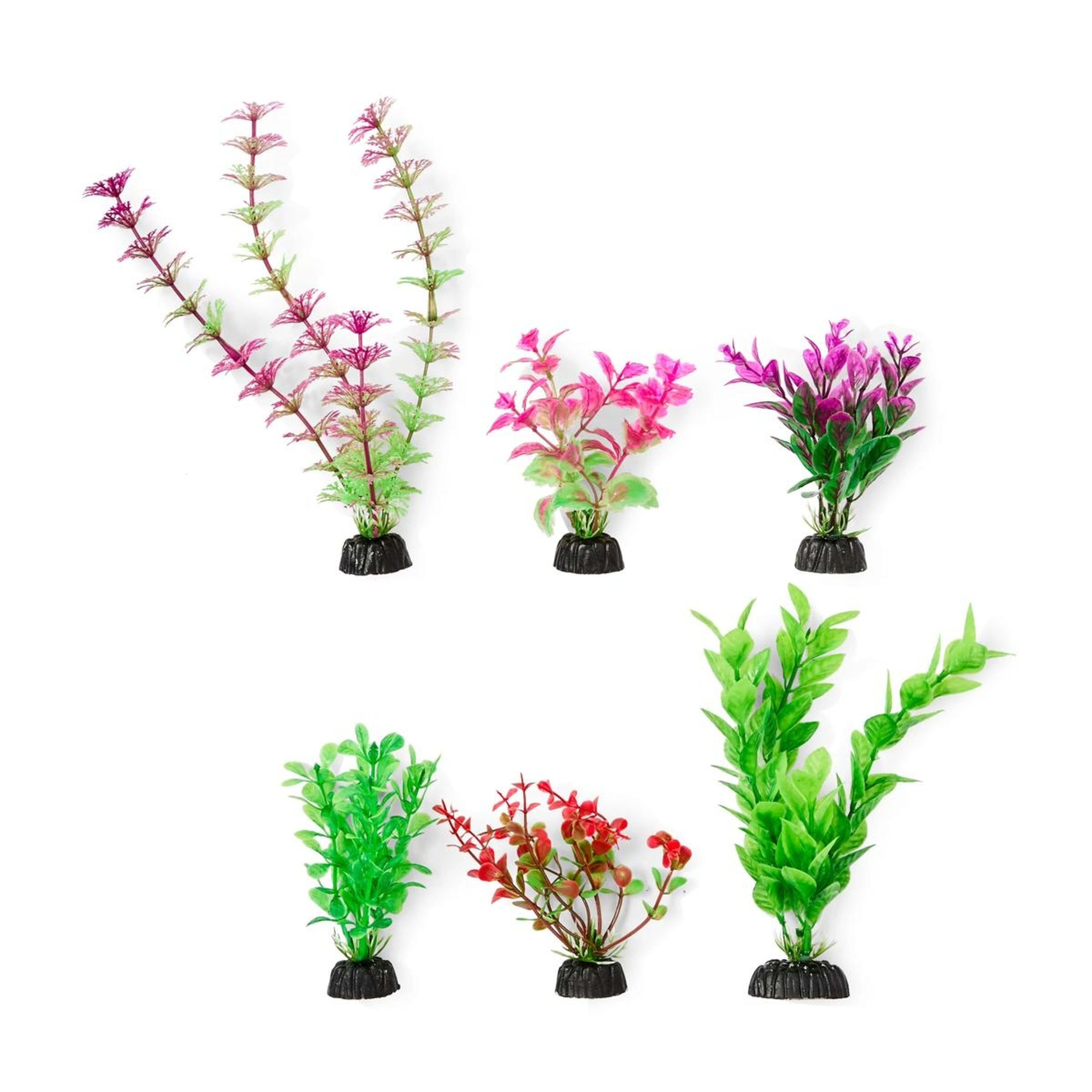 1 Aquarium Natural Plants 6 Pack - Small