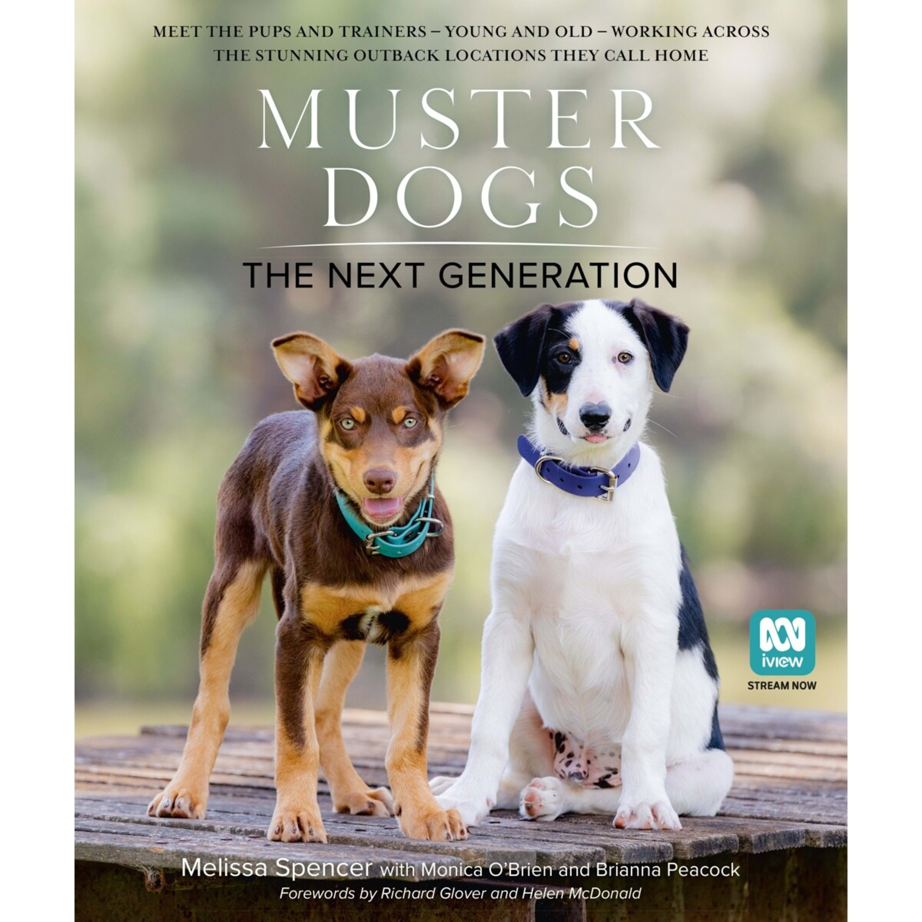 1 Muster Dogs: The Next Generation by Melissa Spencer, Monica O'Brien and Brianna Peacock - Book, 1 of 1