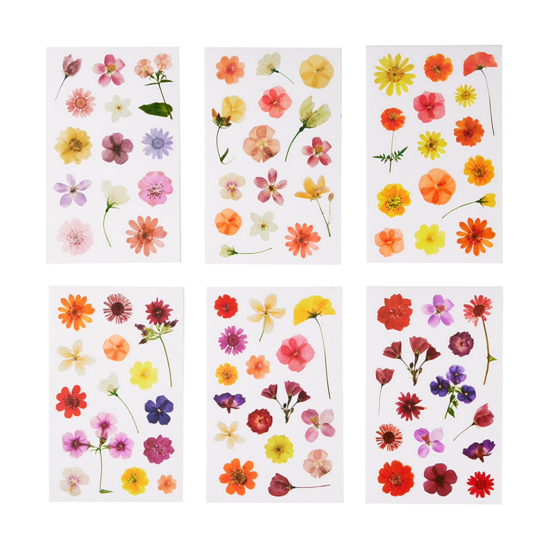 6 Pack Pressed Flower Stickers Kmart