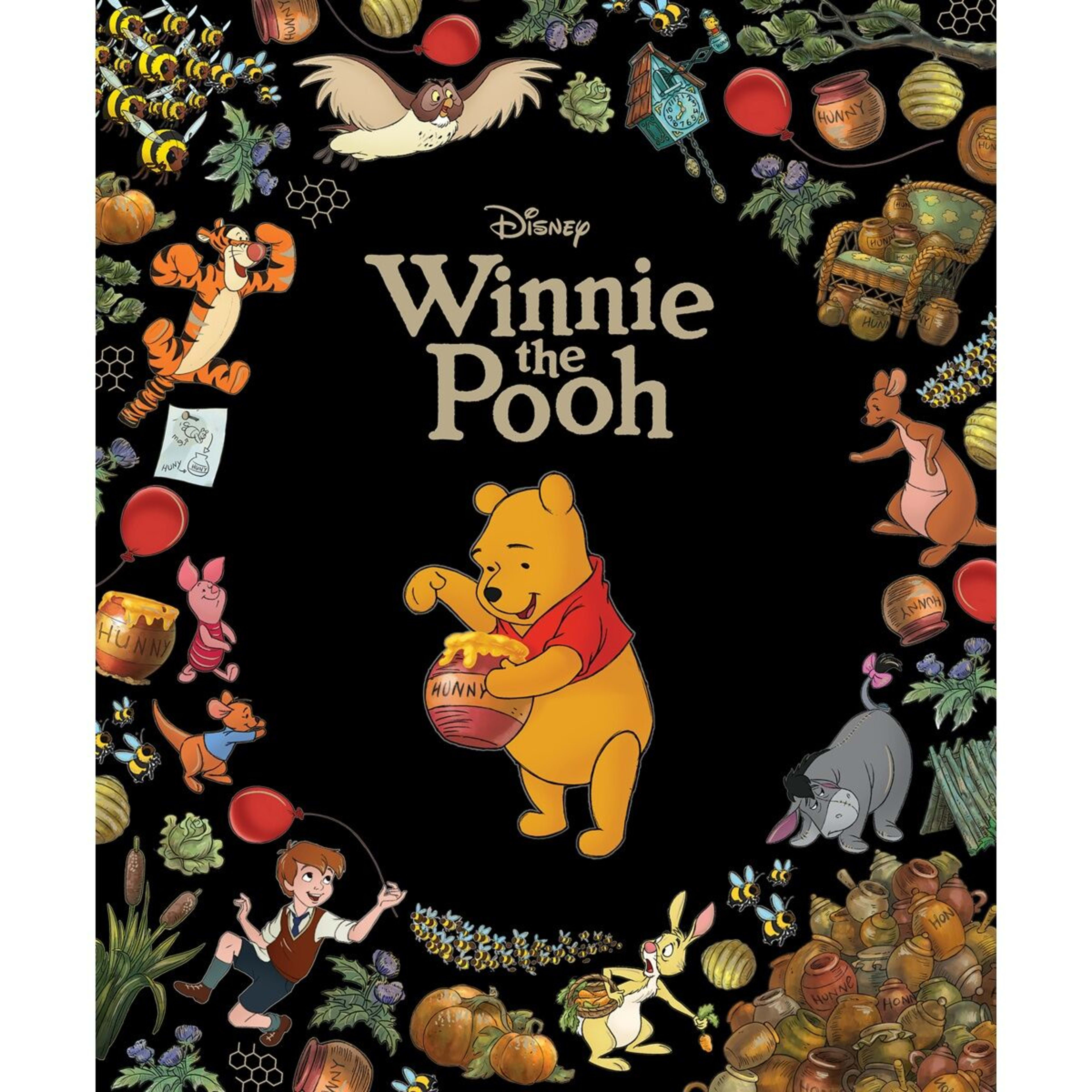 1 Disney Winnie the Pooh - Book, 1 of 1