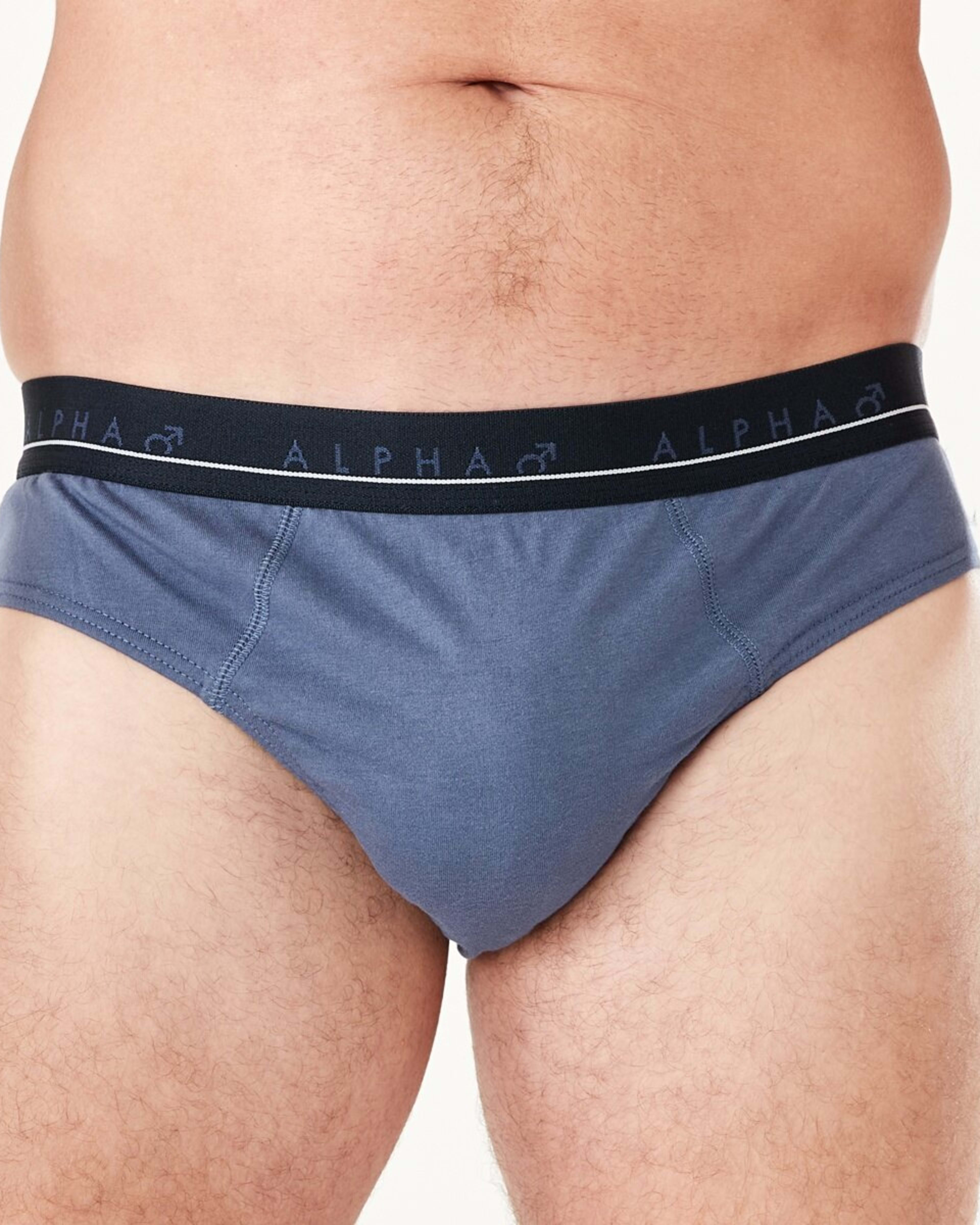 4 5 Pack Attached Elastic Hipster Briefs CLASSICAL, 4 of 10