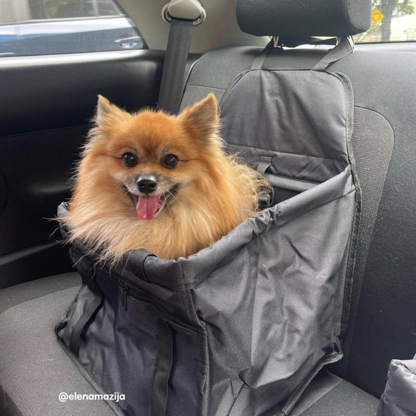 Pet Car Seat Kmart