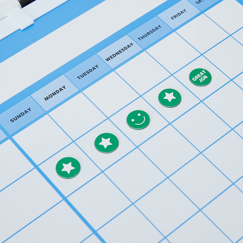 Dry Erase Chore Chart Assorted Kmart