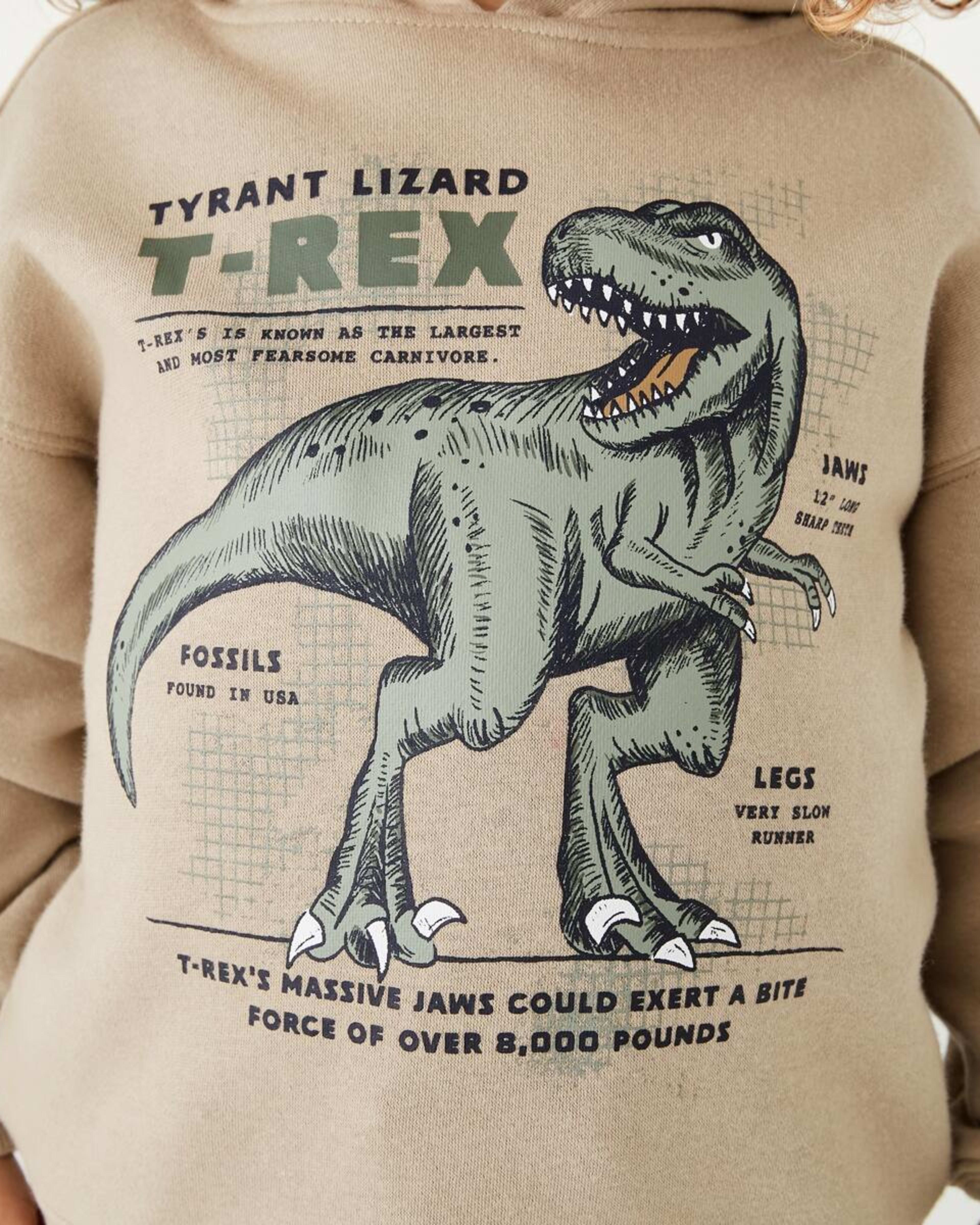 4 Print Hoodie Brn Dino, 4 of 8