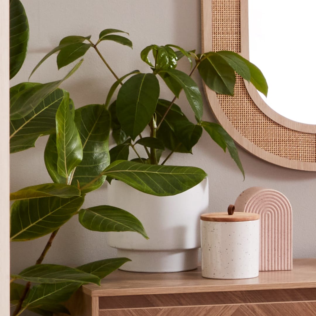 Artificial Fiddle Leaf in Pot Kmart