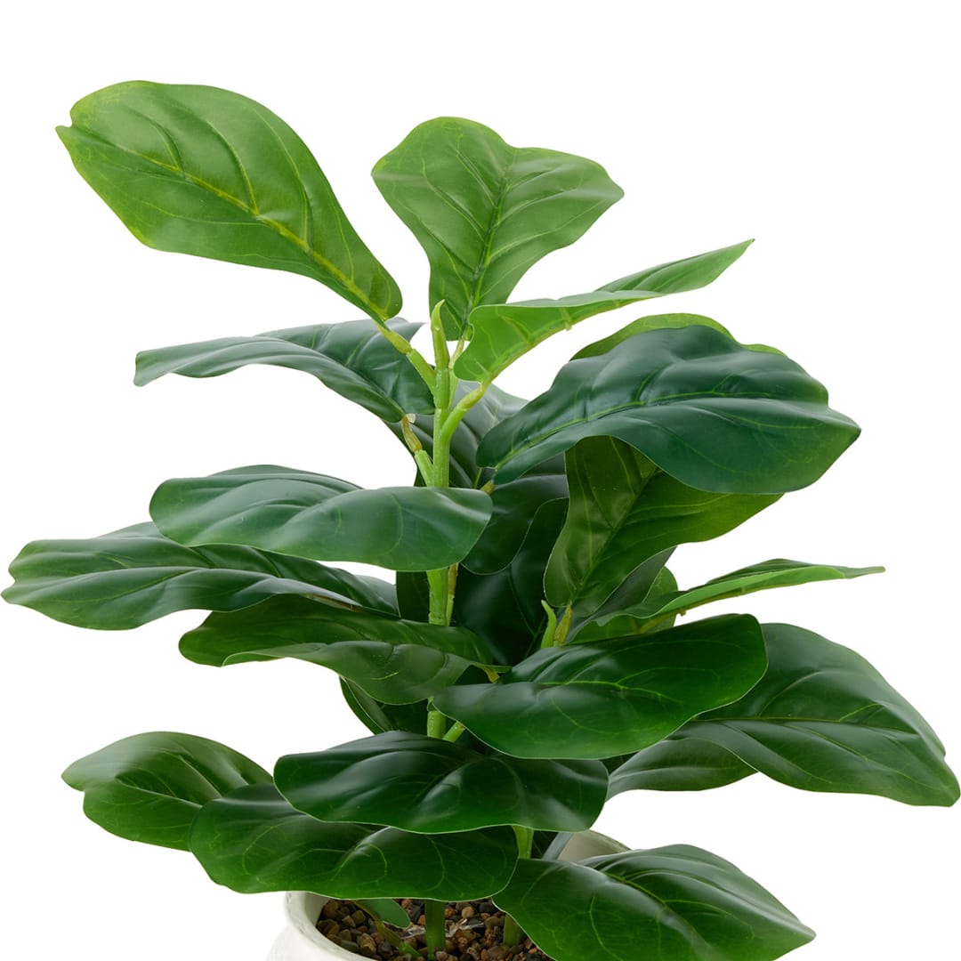 Artificial Fiddle Fig Plant in Pot - Kmart