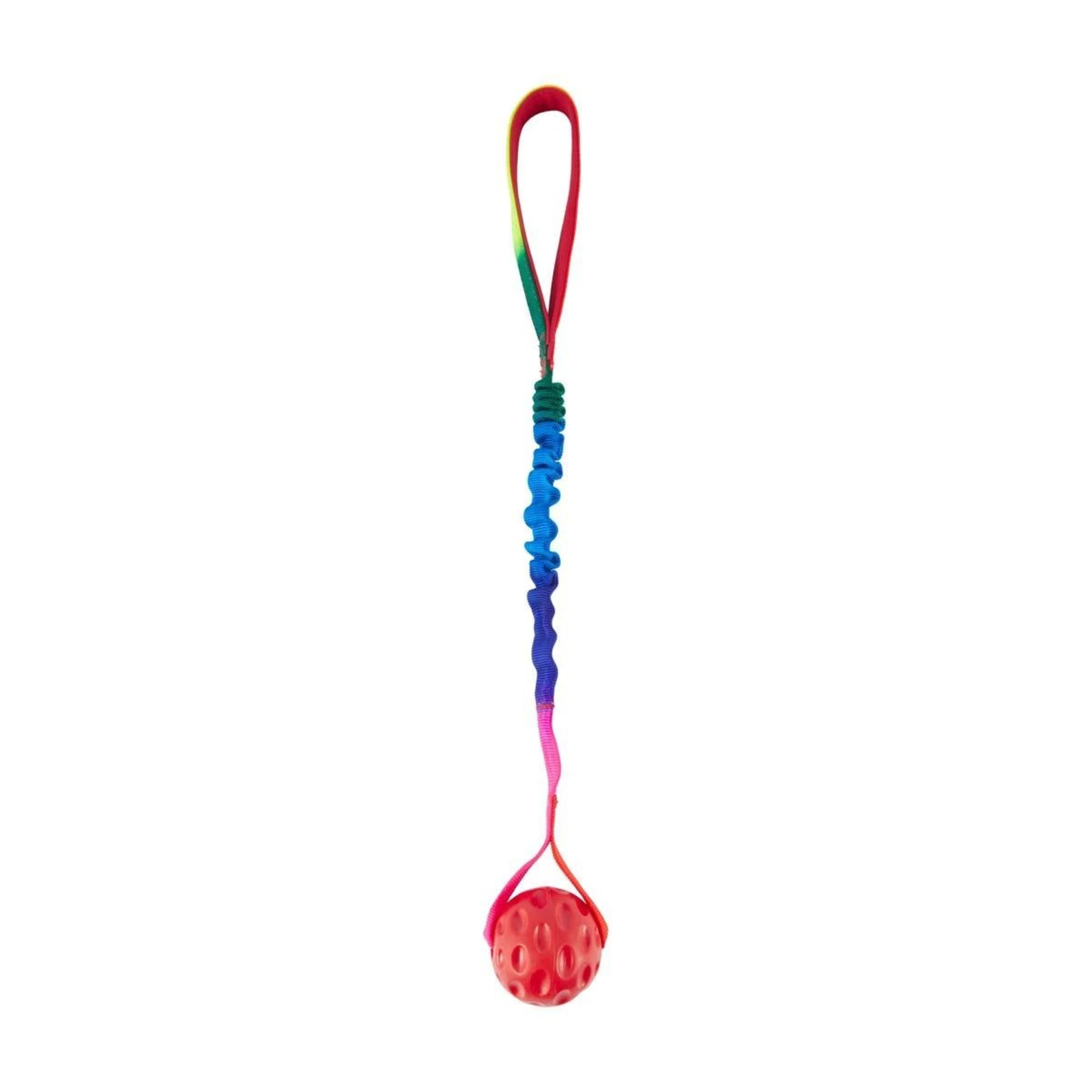 2 Pet Toy Bungee Ball with Handle, 2 of 7