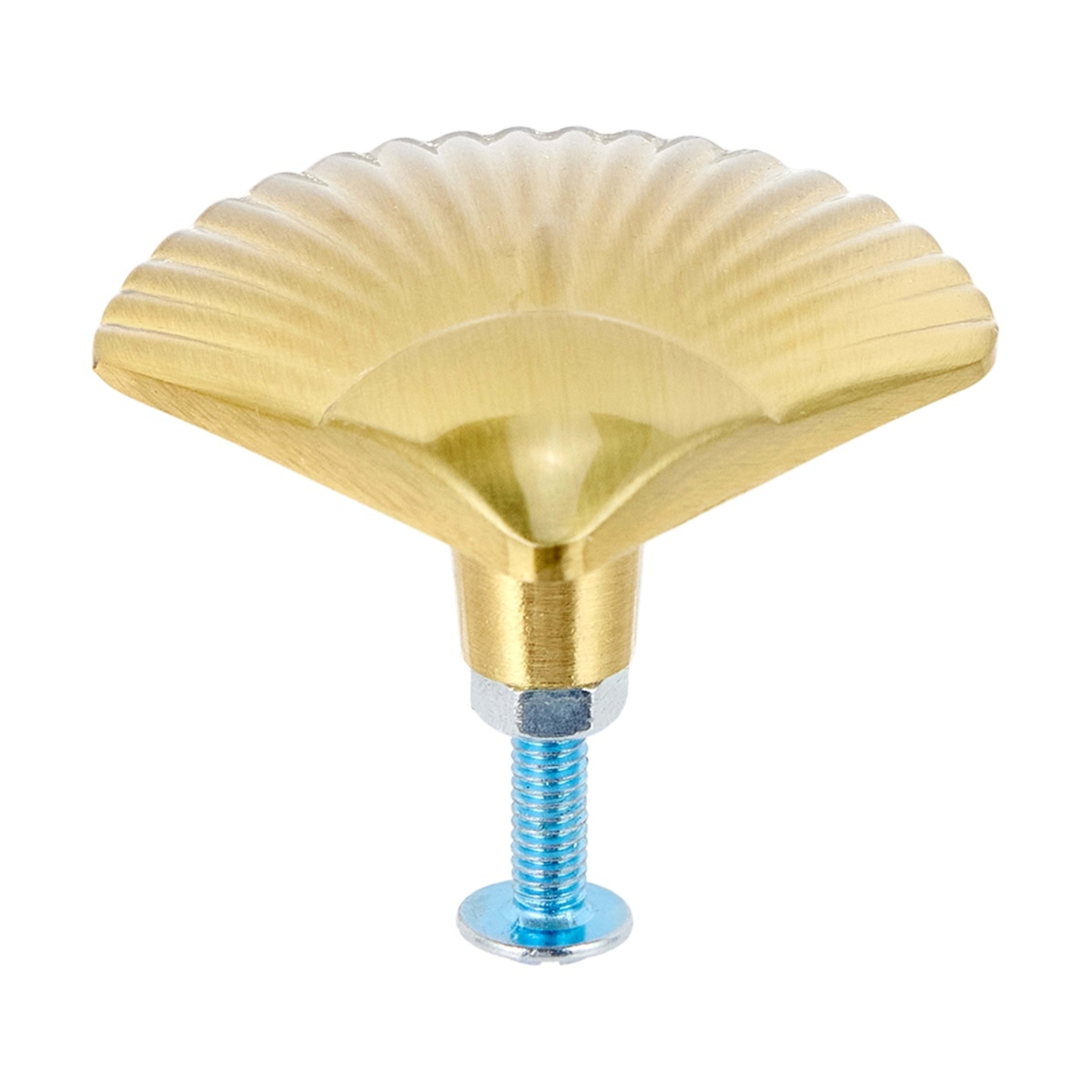 3 2 Pack Shell Handles - Gold Look, 3 of 6