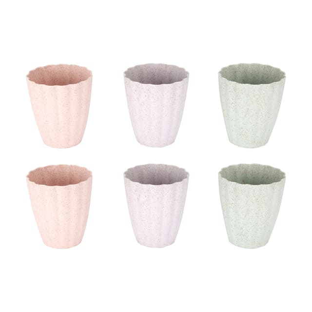6 Pack Scalloped Wheatgrain Cups Kmart