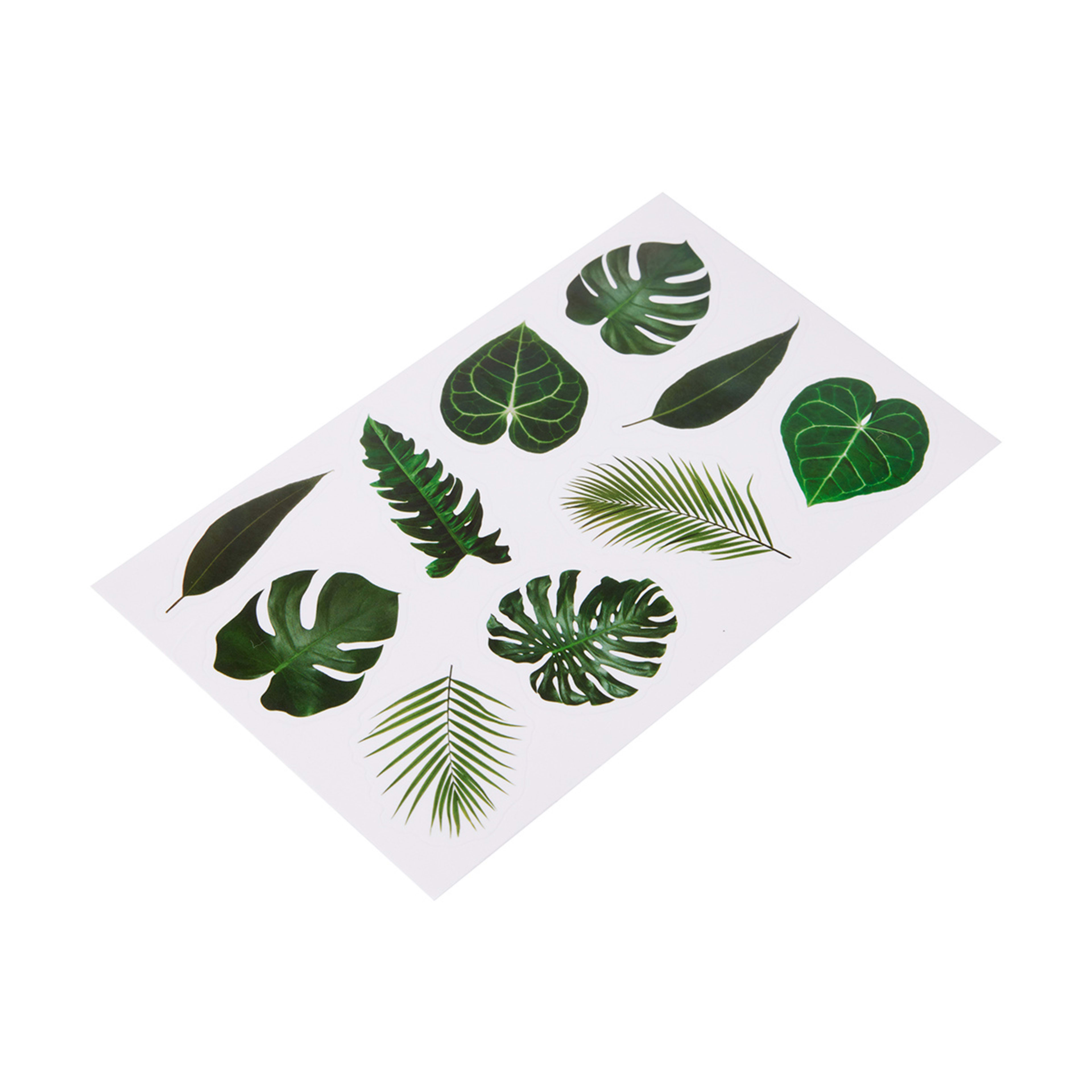 6 Pack Pressed Leaf Stickers Kmart