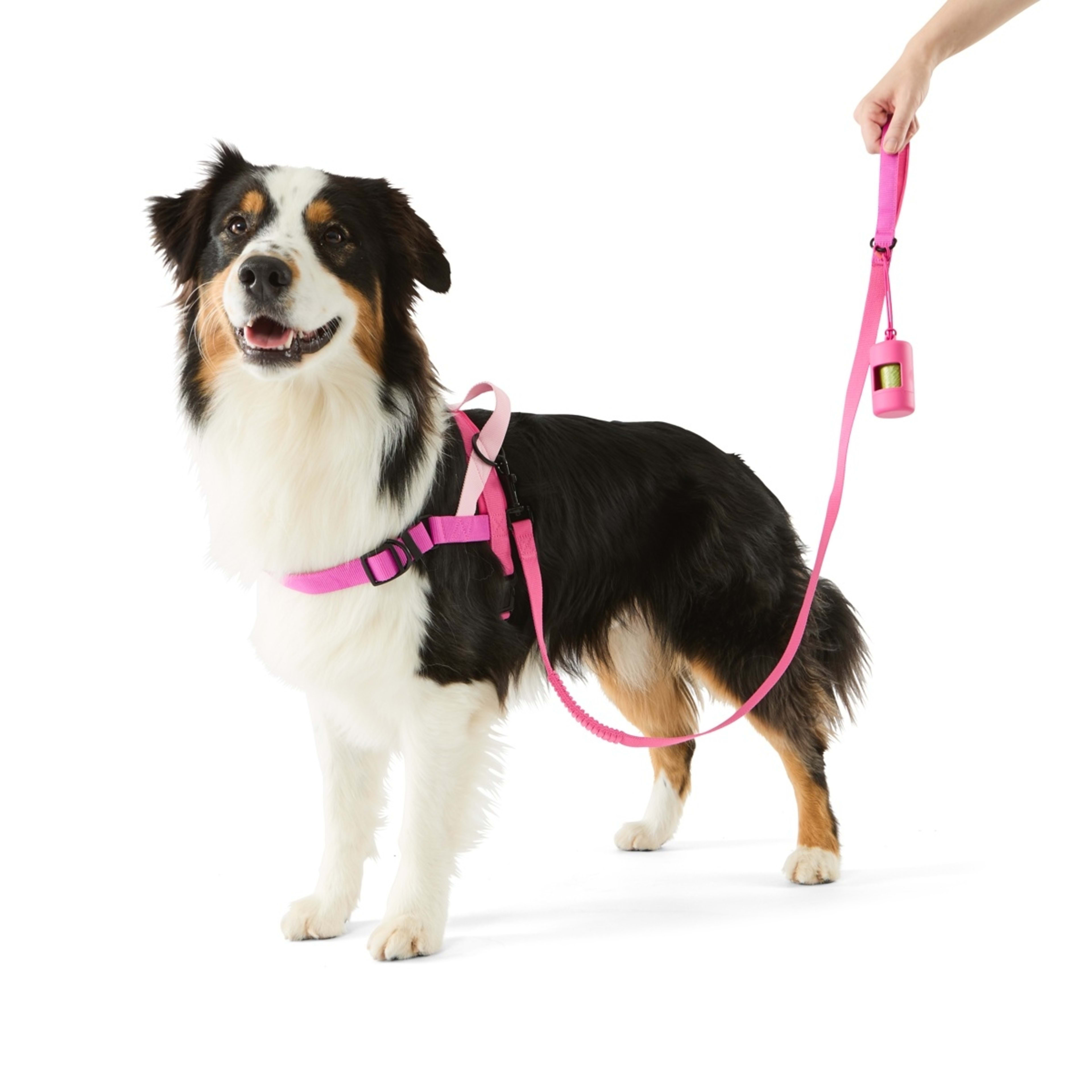 1 Pet Walking Set - Pink, Large