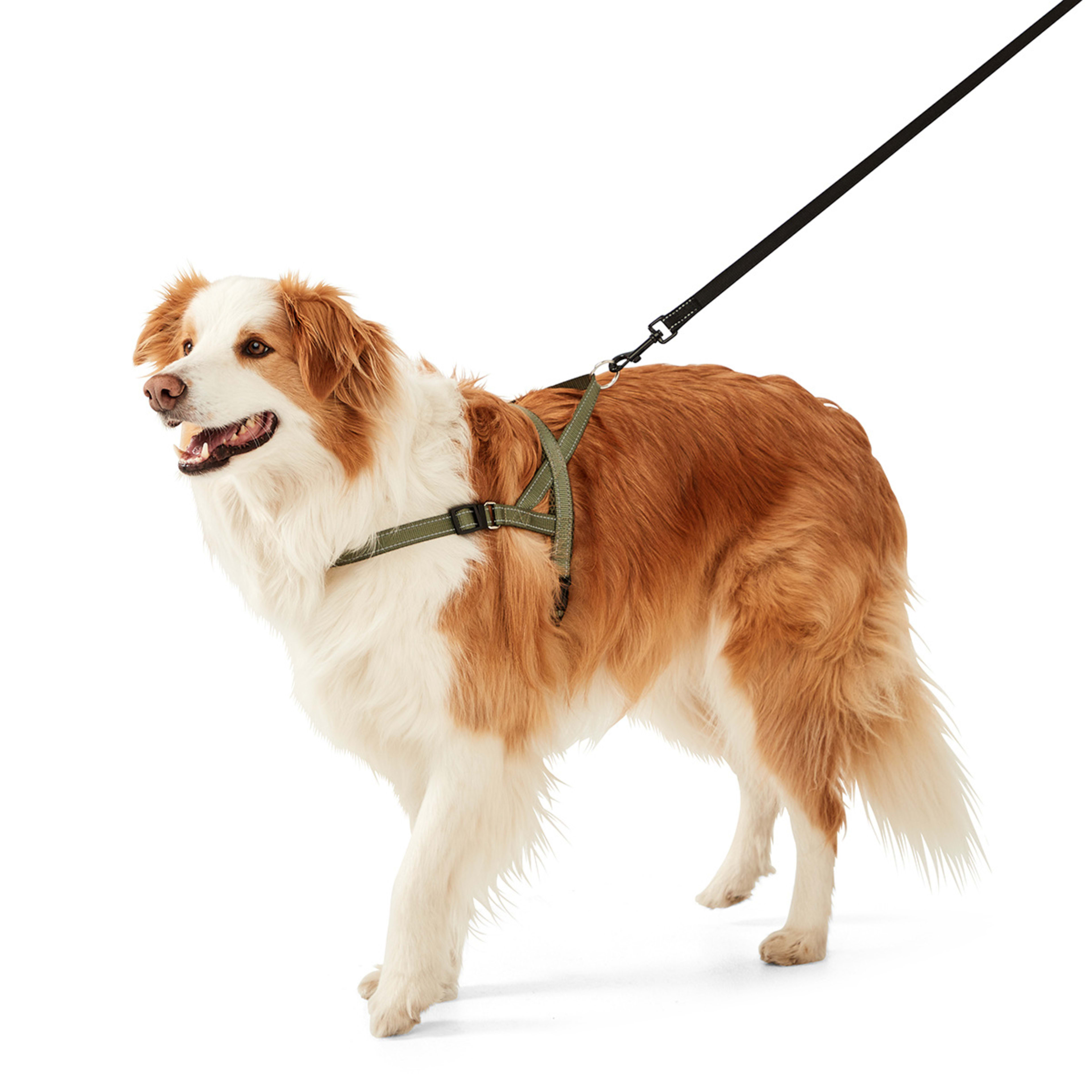 1 Dog Fast Clip Harness - Large, 1 of 8