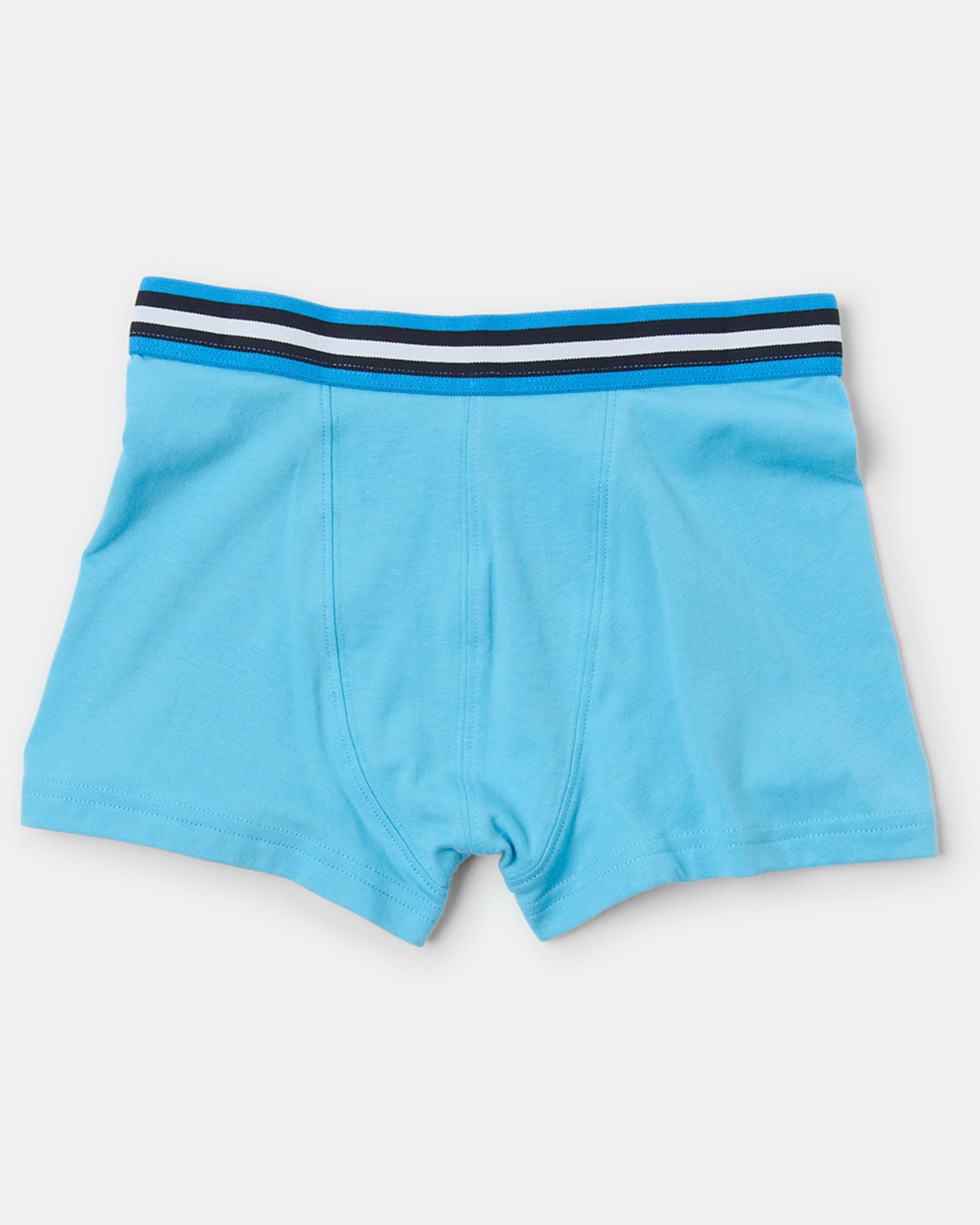 4 7 Pack Attached Elastic Trunks BLUES STRIPE, 4 of 10