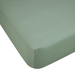 500 Thread Count Australian Grown Cotton Fitted Sheet - Queen Bed, Sage